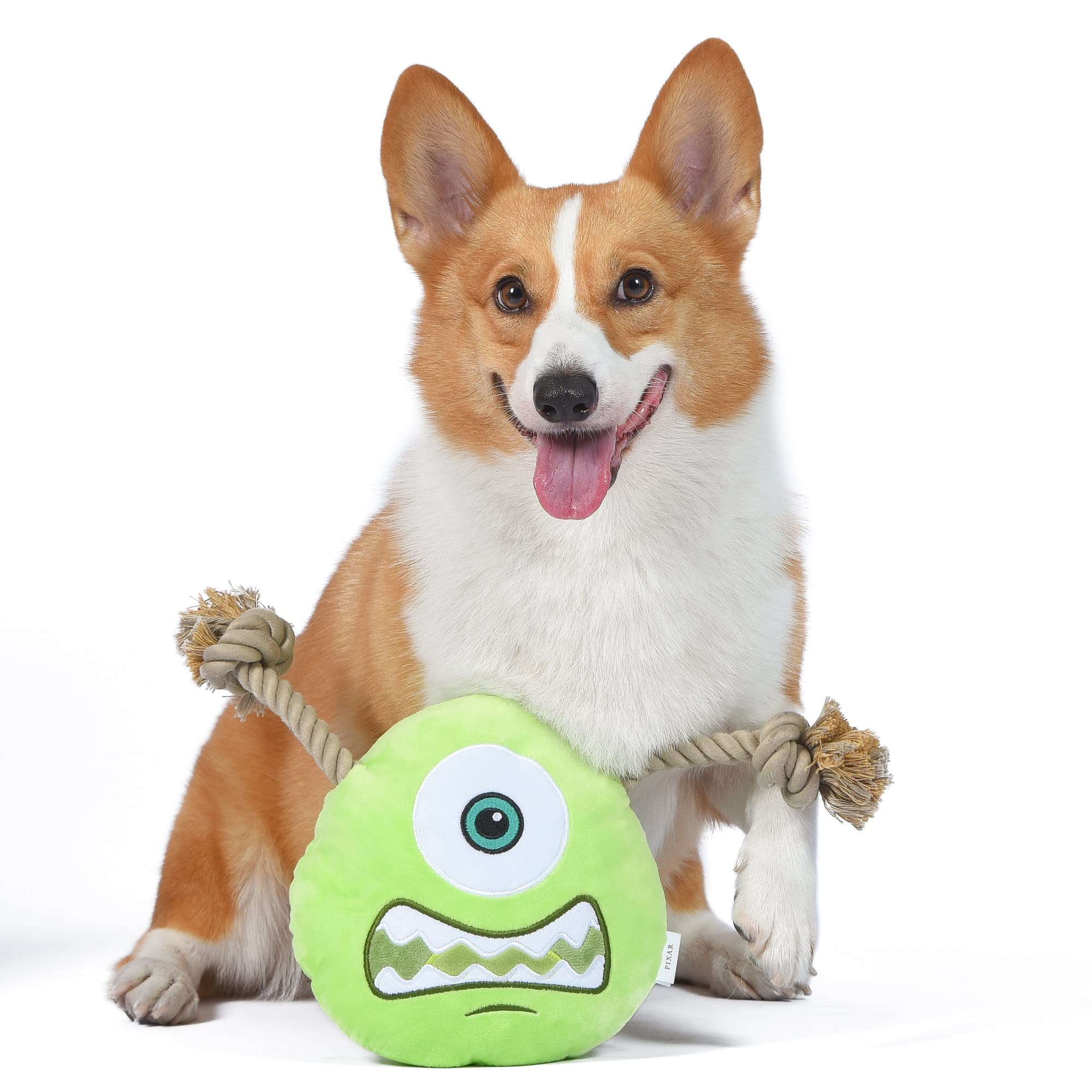 Disney For Pets Disney And Pixar'S Monsters, Inc. Mike 9'' Rope Head Toy For Dogs | Mike Dog Toy | Monsters Inc Movie Toys For A