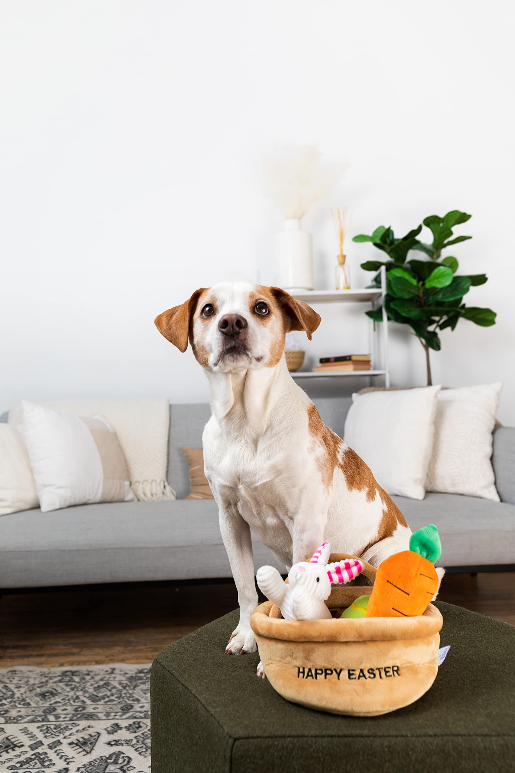 Midlee Hide A Toy Easter Basket Dog Toy