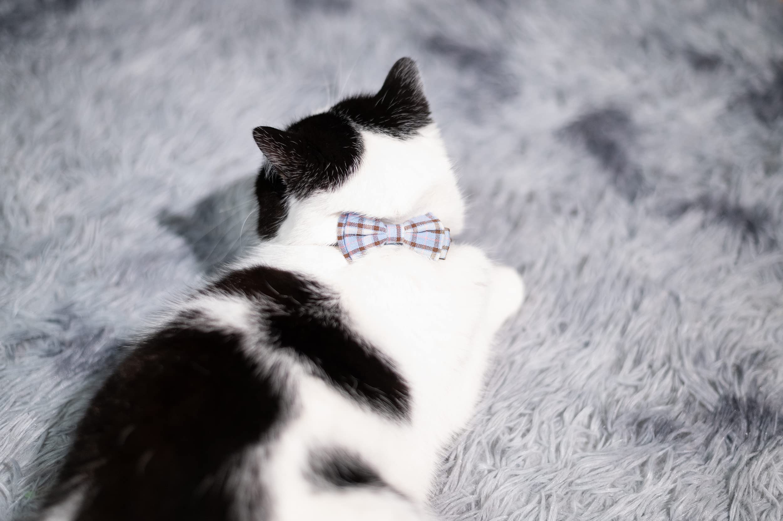 Gyapet Cat Collar Breakaway Bowtie Safety With Bell Adjustbale Kitten Puppy Solid Plaid Color Set D-[2Pcs] Grey