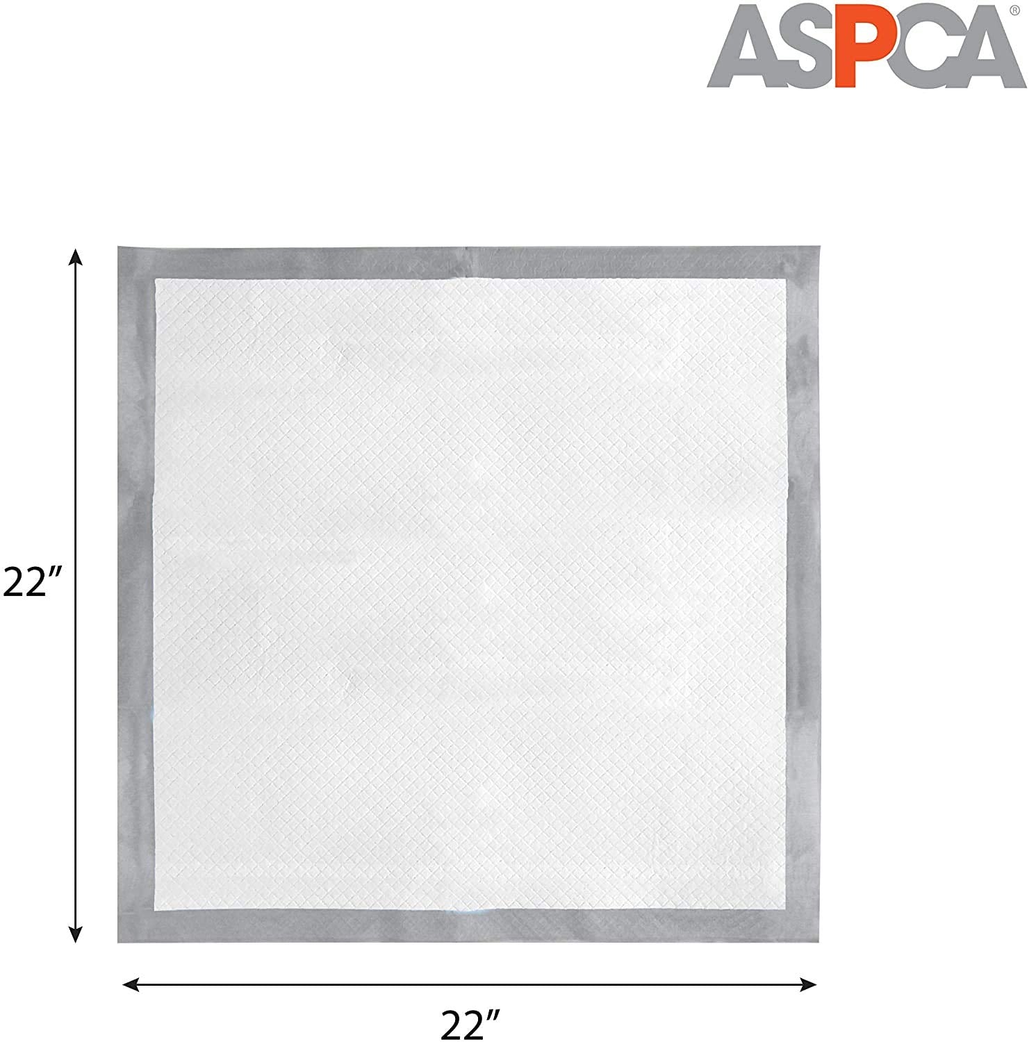 ASPCA Citrus Scented Training Pads, 22" x 22", Gray, 100 Pack, Model AS62931