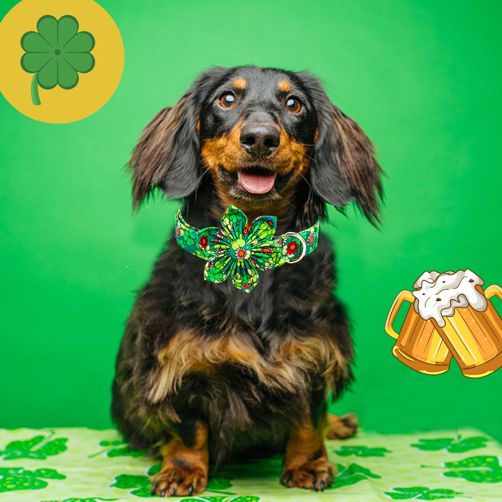 Lionheart Glory St. Patrick'S Day Dog Collar With Flower-Lucky Clover Shamrock Dog Bow Collar For Small Dogs Green Spring Trefoi
