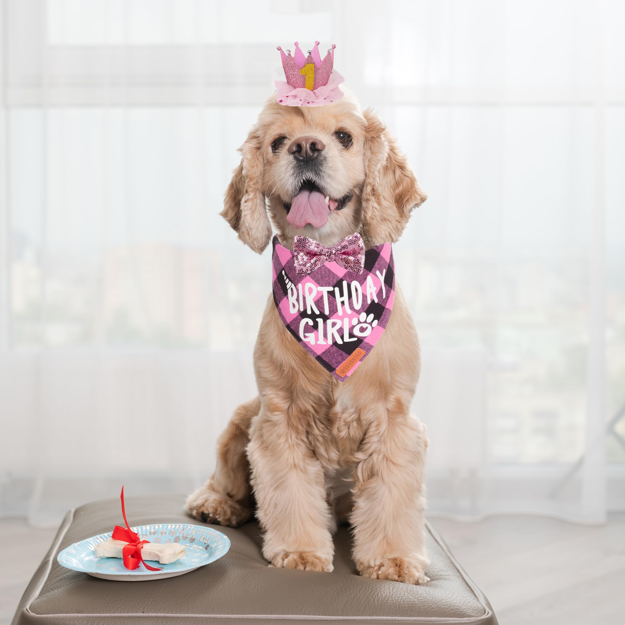 Adoggygo Dog Birthday Party Supplies, Multi Size Offered, Birthday Girl Dog Bandana, Pink Puppy Party Hat Crown With Numbers For