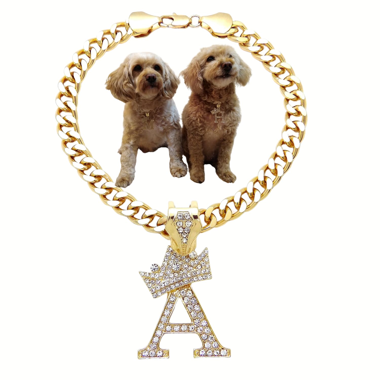 Initial Letter Cuban Chain Dog Chain Pet Chain Pet, Cat, Puppy Necklace (A, 12'')