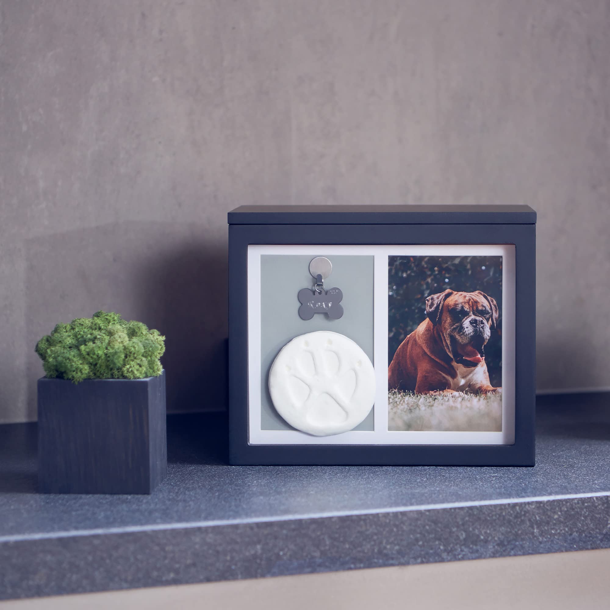 Chasing Tails Premium White Pet Urn - Large Memorial Dog Ashes, 9.49"x7.8"x5.7", Includes Paw Print & Photo Album