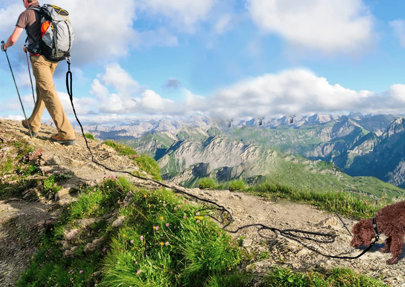 Joytale Long Dog Training Leash, 30 Ft Tie Out Rope Check Cord With Padded Handle, Reflective Recall Lead For Puppy And Small Do