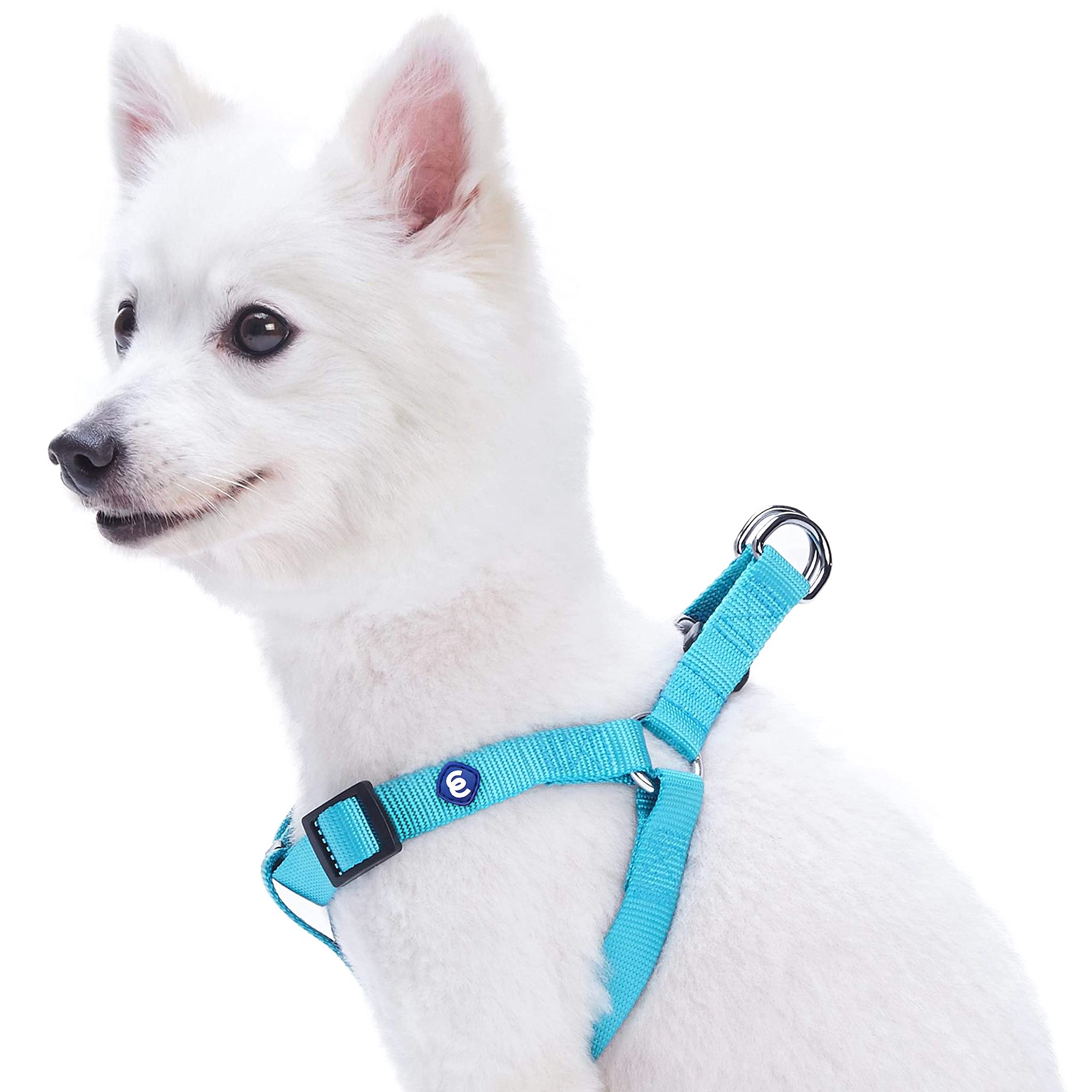 Blueberry Pet Essentials Classic Durable Solid Nylon Step-In Dog Harness, Chest Girth 26' - 39', Turquoise, Large, Adjustable Harnesses For Puppy Boy Girl Dogs