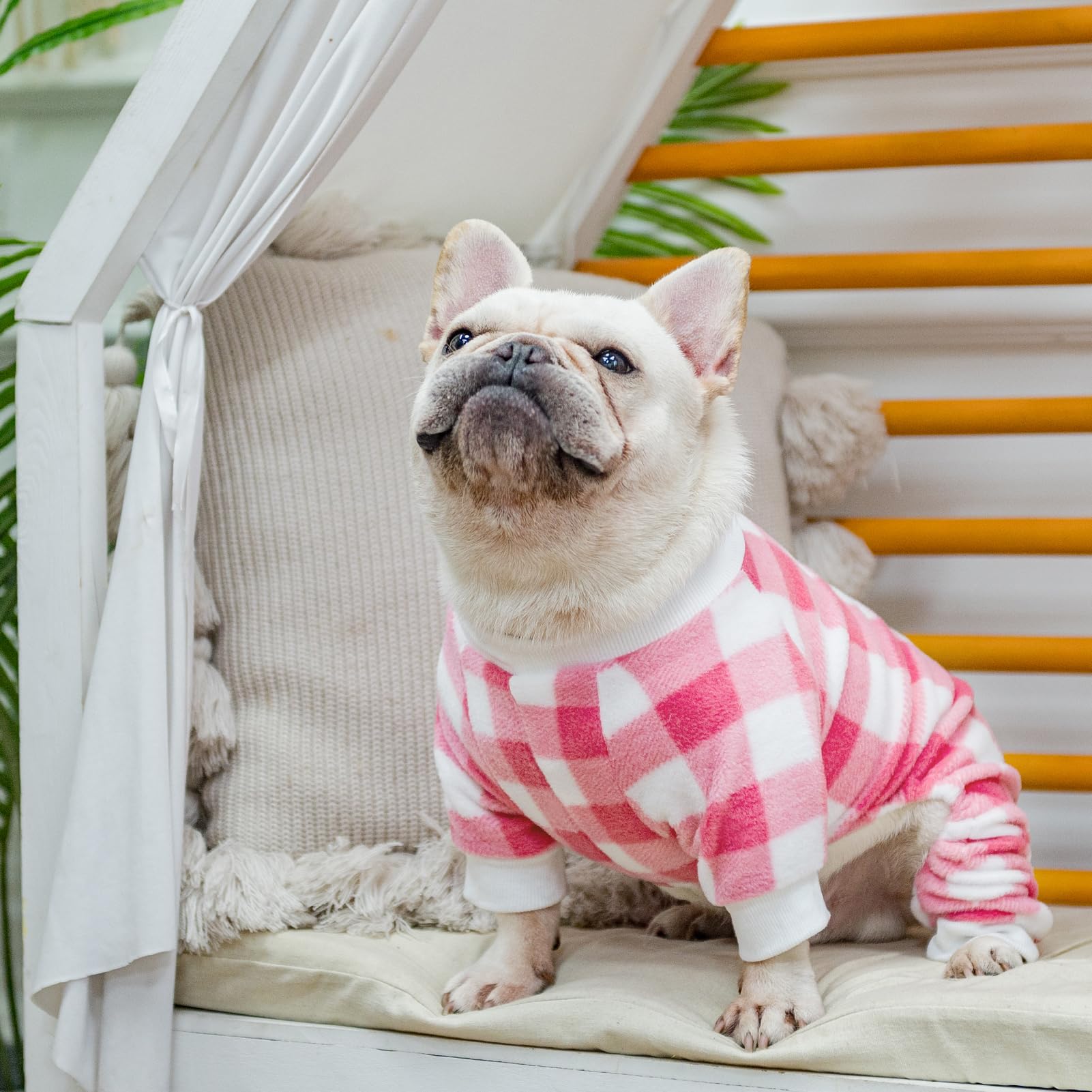 Scenereal Dog Pajamas For Small To Large Dogs Soft Pet Sweater Clothes Warm Puppy Onesie Outfits For Doggie Winter Christmas - Dog Jammies Pjs