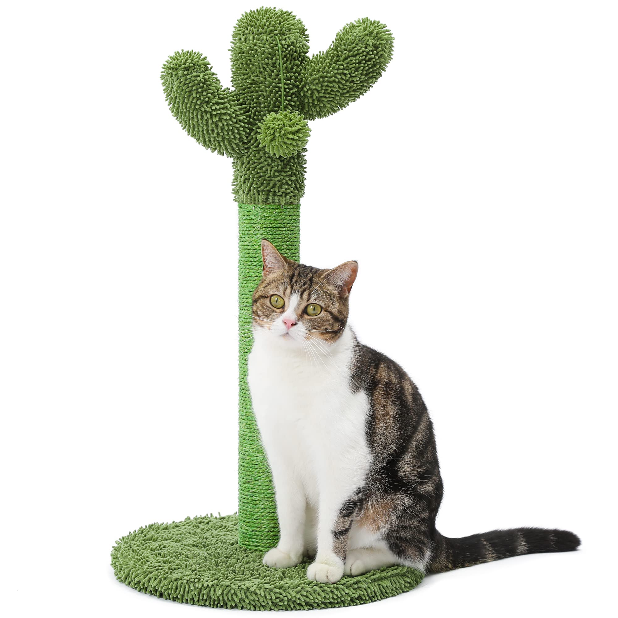 Made4Pets Cat Scratching Post, Cactus Cat Scratcher Kitten Scratch Post With Sisal Rope For Indoor Cats Claw Scratcher, Vertical Green Cat Tree With Dangling Ball For Kitties, Medium-25.6 Inches