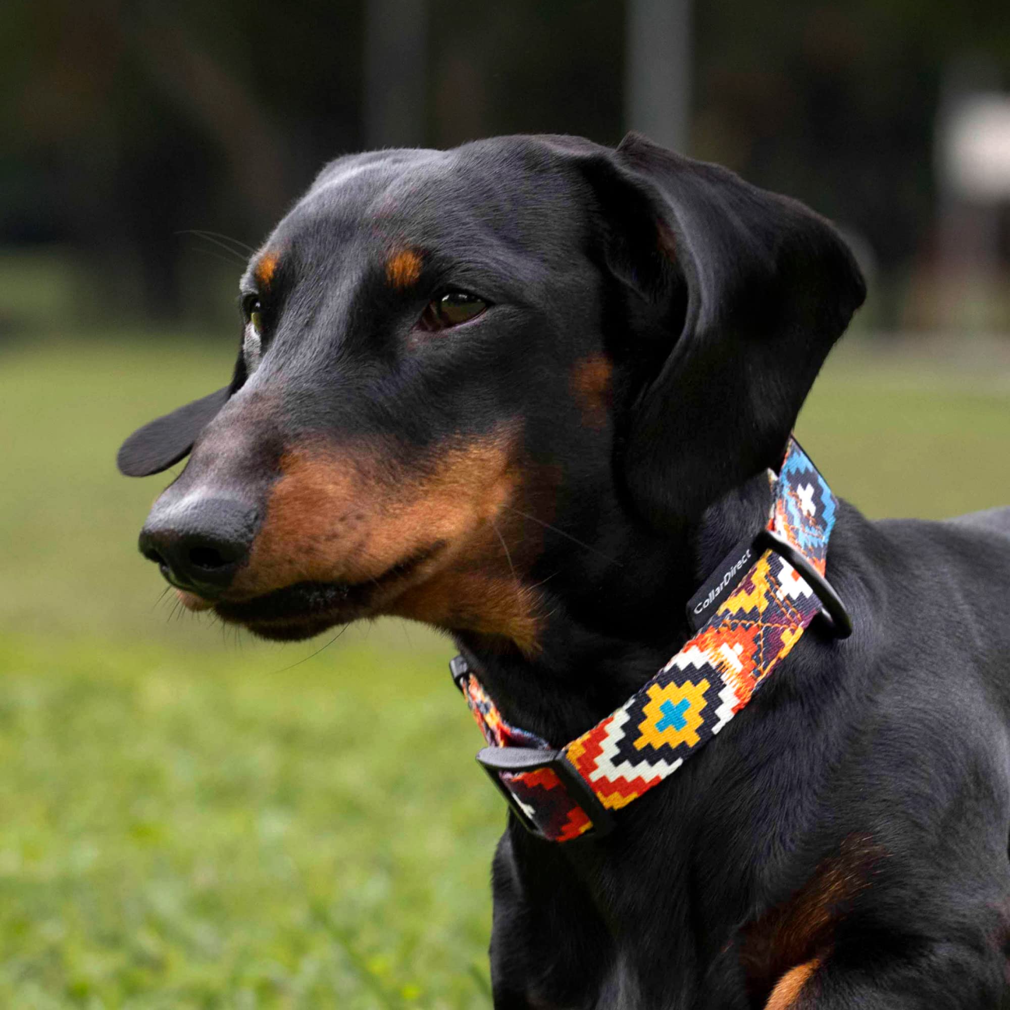 Collardirect Aztec Dog Collar Adjustable Nylon Tribal Pattern Geometric Pet Collars For Dogs Small Medium Large Puppy (Tribal Ma