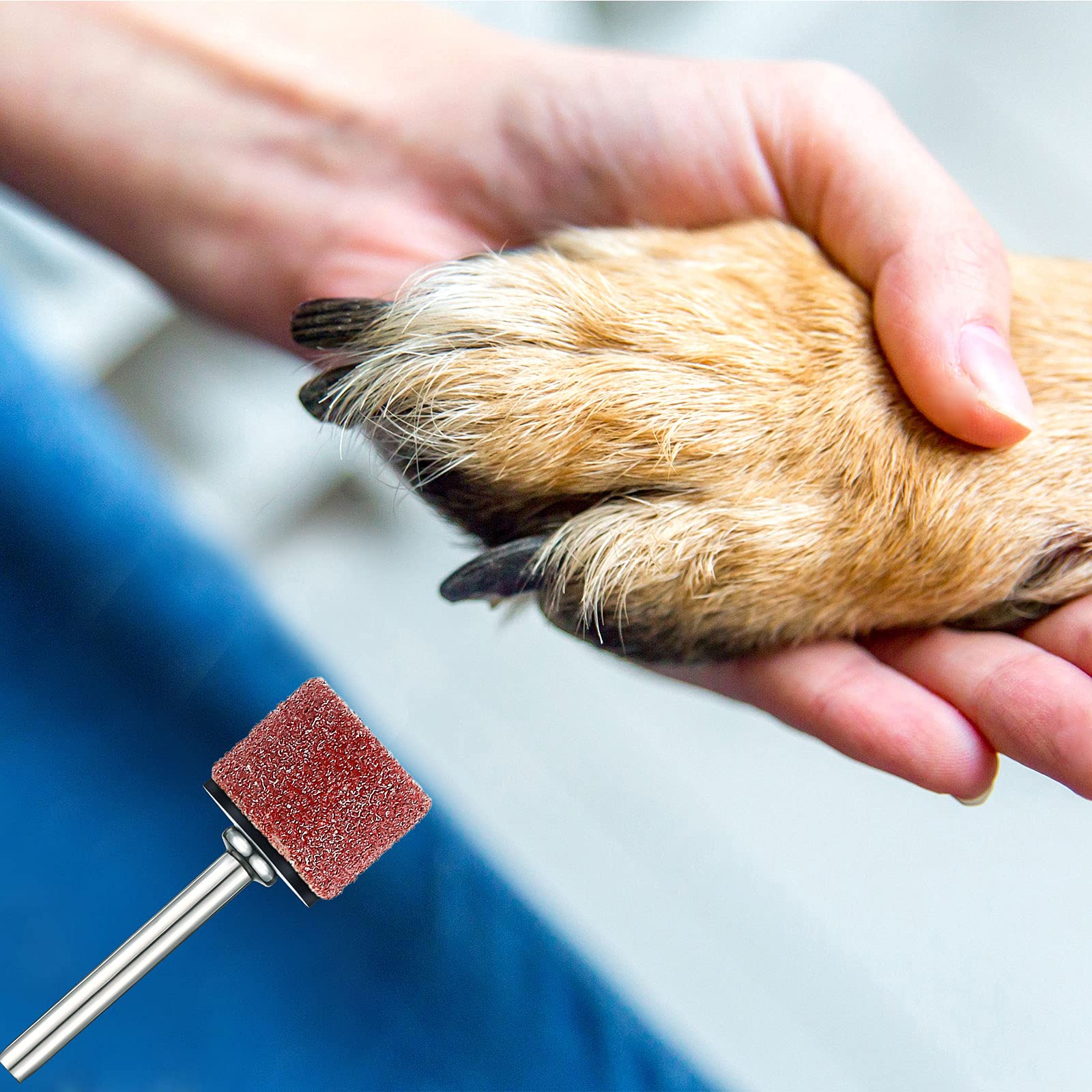 22 Pet Nail Grinder Replacement Kit With Grit Sanding Bands Pet Nail Smoother Dog Claw Care Black Grinding Drums Dog Nail Grinder Replacement Dog Claw Grooming Supplies (1/2 Inch 60 Grit And 100 Grit)