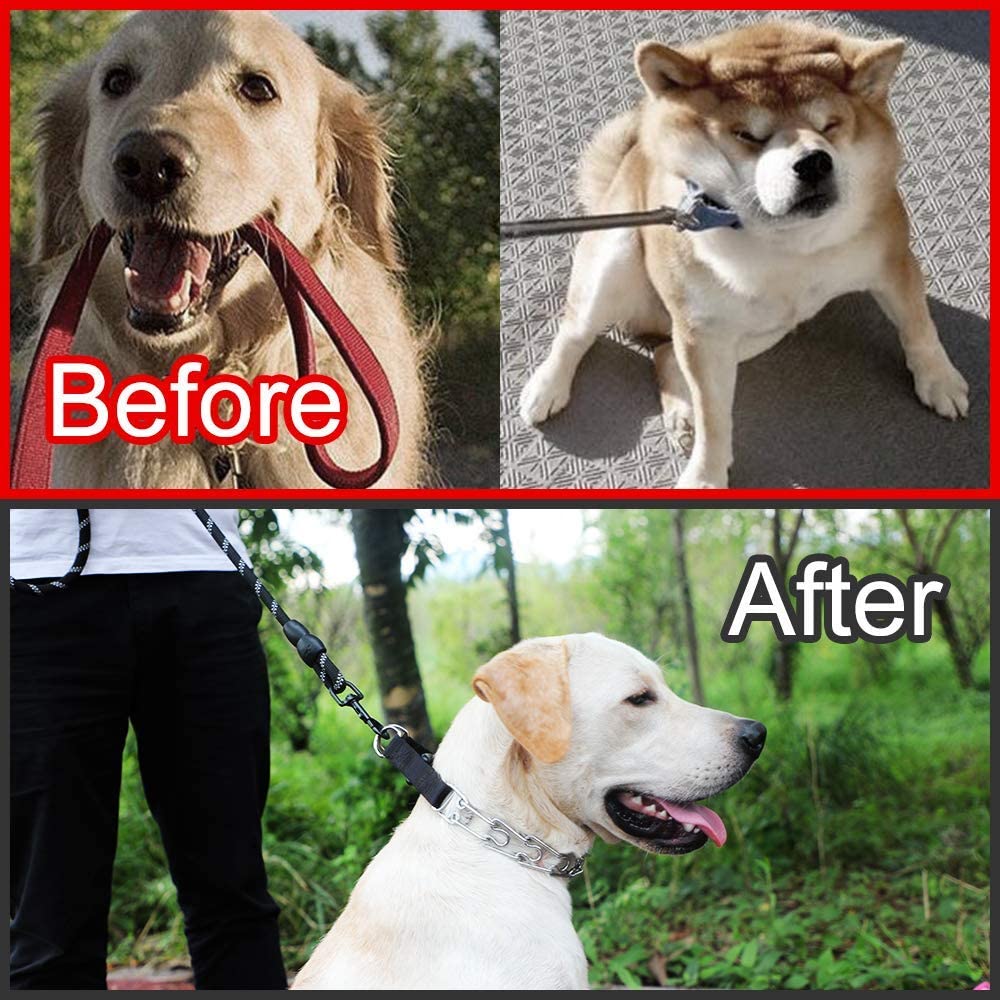 Cbbpet Dog Prong Collar, Adjustable Dog Training Collar With Quick Release Buckle For Small Medium Large Dogs (Silver, L/3.5Mm N