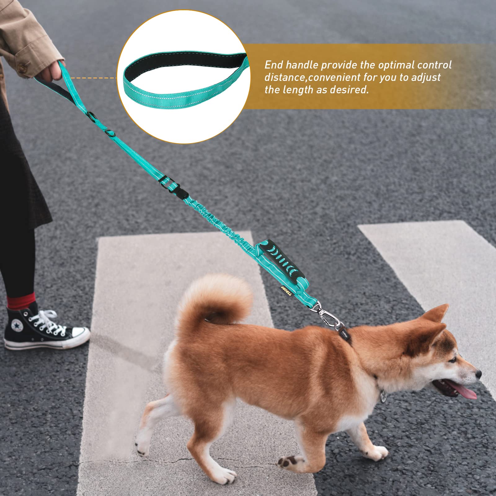 AUBELL Heavy Duty Reflective Dog Leash with Padded Handle, 4FT/6FT, for Large & Medium Dogs, Teal, Nylon, Tactical Design