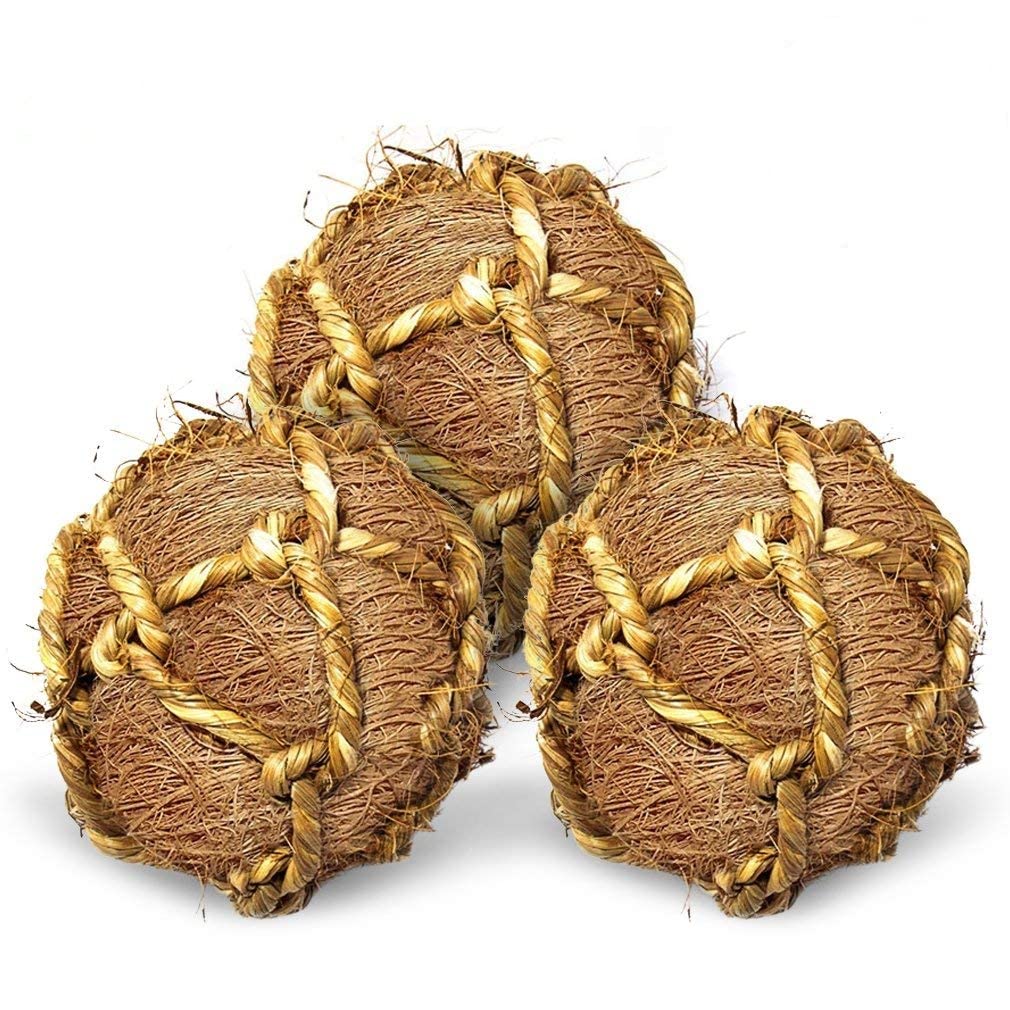 Sungrow Guinea Pig Coconut Fiber Balls, Improves Oral Wellness, Environment Friendly, Stress Reliever, Ideal For Chew Item For Rabbits, Chinchilla & Kitten (3 Pieces)