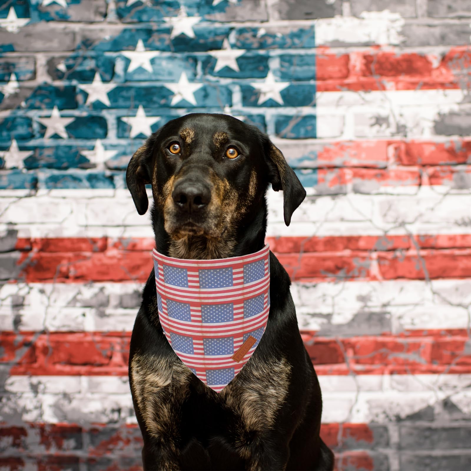 Ptdecor American Flag Dog Bandana Flag Stars Patterns, Patriotic Pet Scarf Reversible Triangle 4Th Of July Bandanas For Small Do