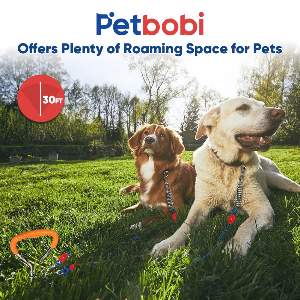 Petbobi Dog Tie Out Cable And Stake - 30Ft Heavy Duty Cable With Spring - No Tangle, 16-Inch Ground Stake - Ideal For Yard, Camping, And Beach - Suitable For Medium To Large Dogs Up To 120 Lbs, Blue