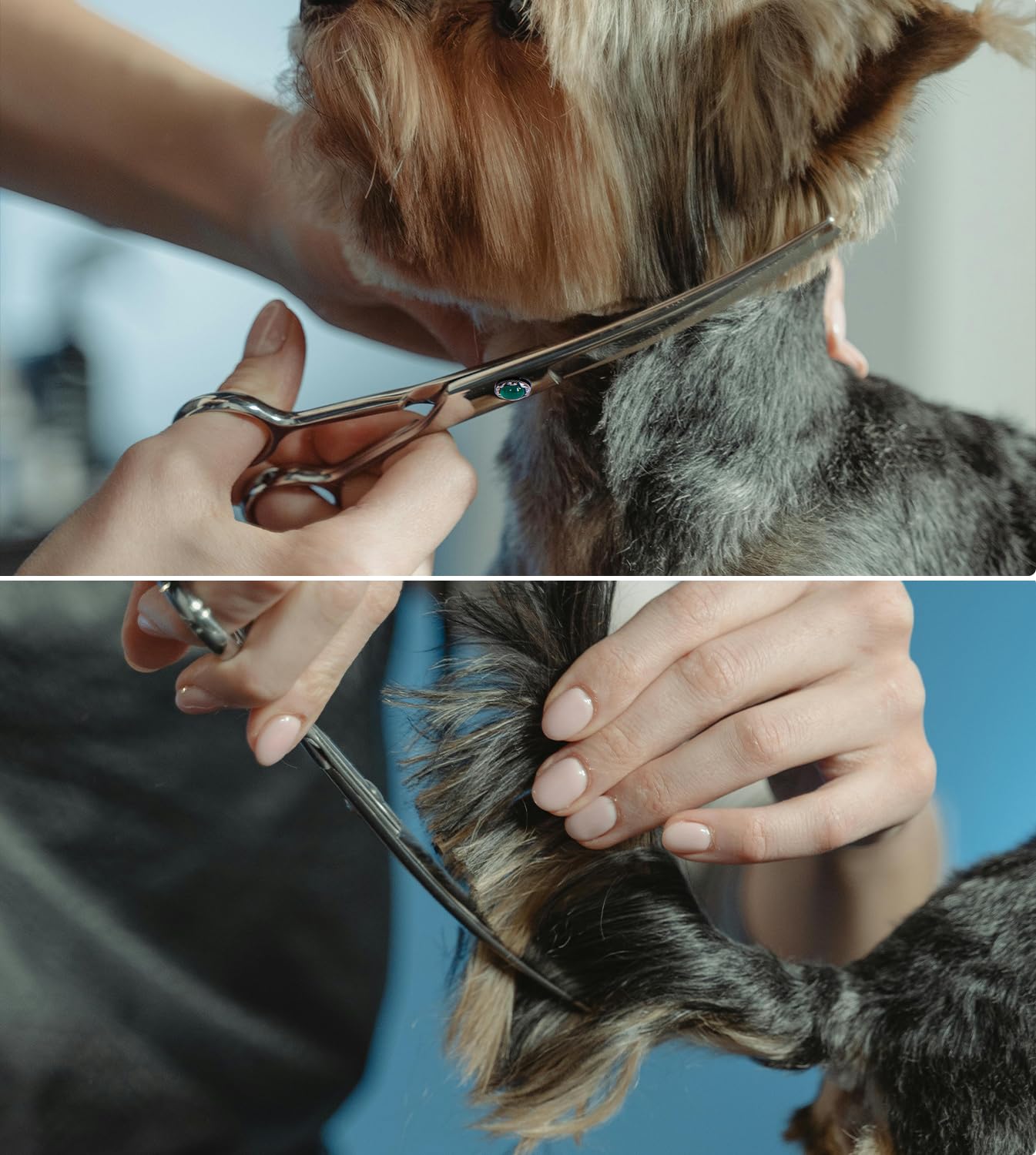 Stjuo Dog Grooming Curved Scissors 7 Inch Professional Pet Shears Made Of Japanese Advanced Stainless Steel Professional Groomin