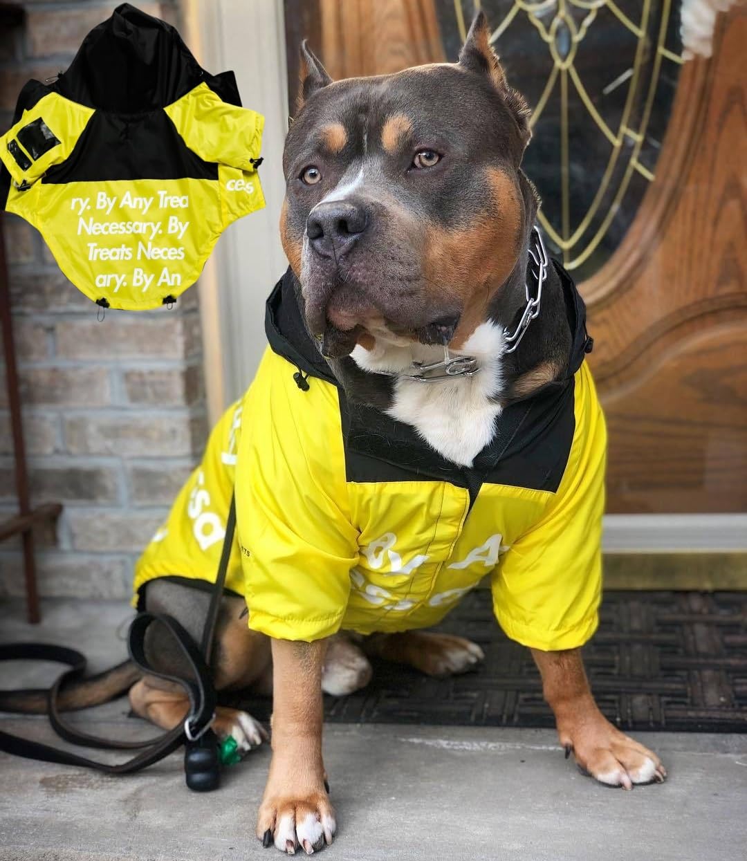 Dog Raincoat Rain Jacket,Slicker Poncho Adjustable Waterproof Dog Raincoat With Leash Hole/Reflective Words Hooded Snowproof Win