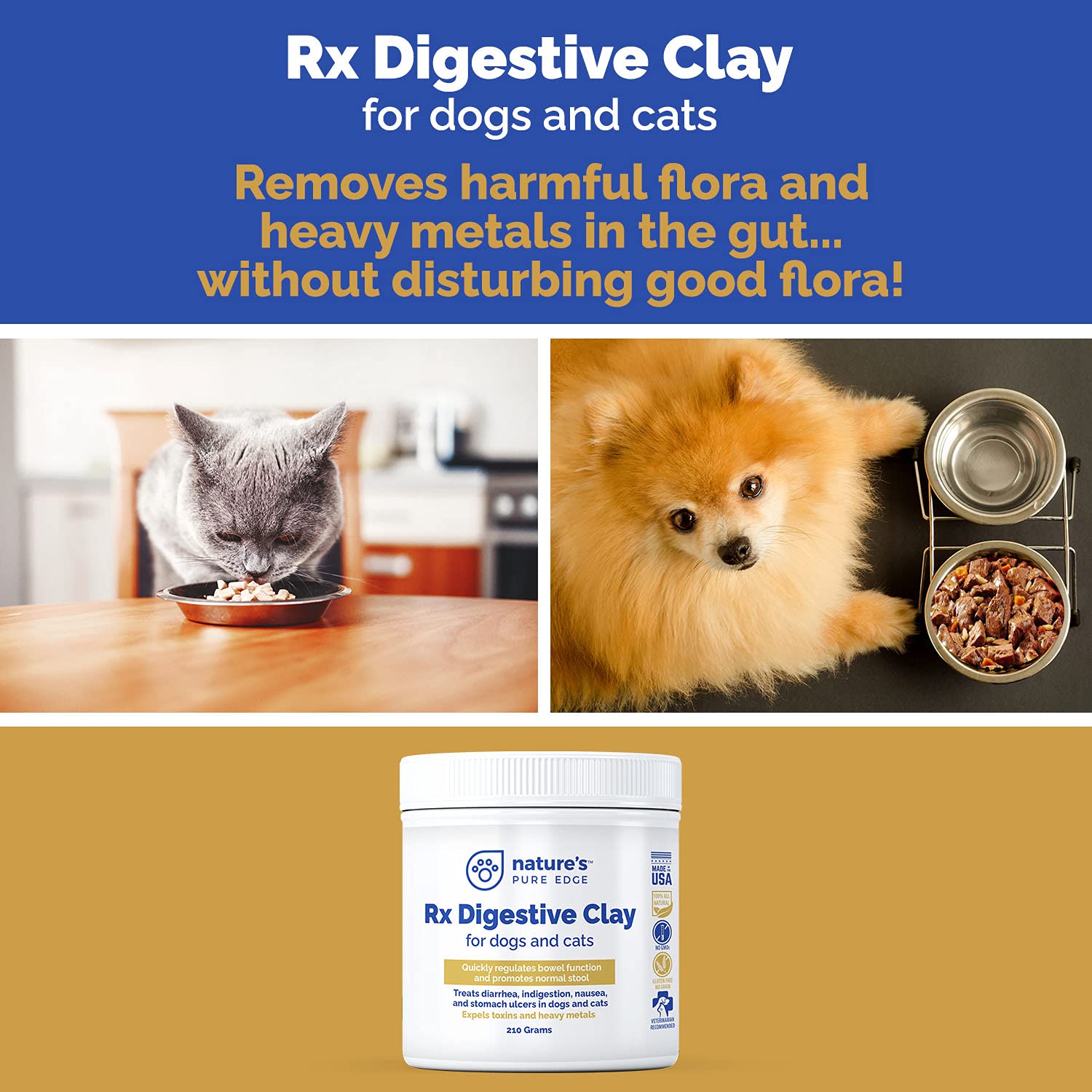 Rx Clay for Digestion for cat and Dog Stomach Relief. Cat and Dog Anti Diarrhea Medication. Cat and Dog Stomach Upset Medicine f