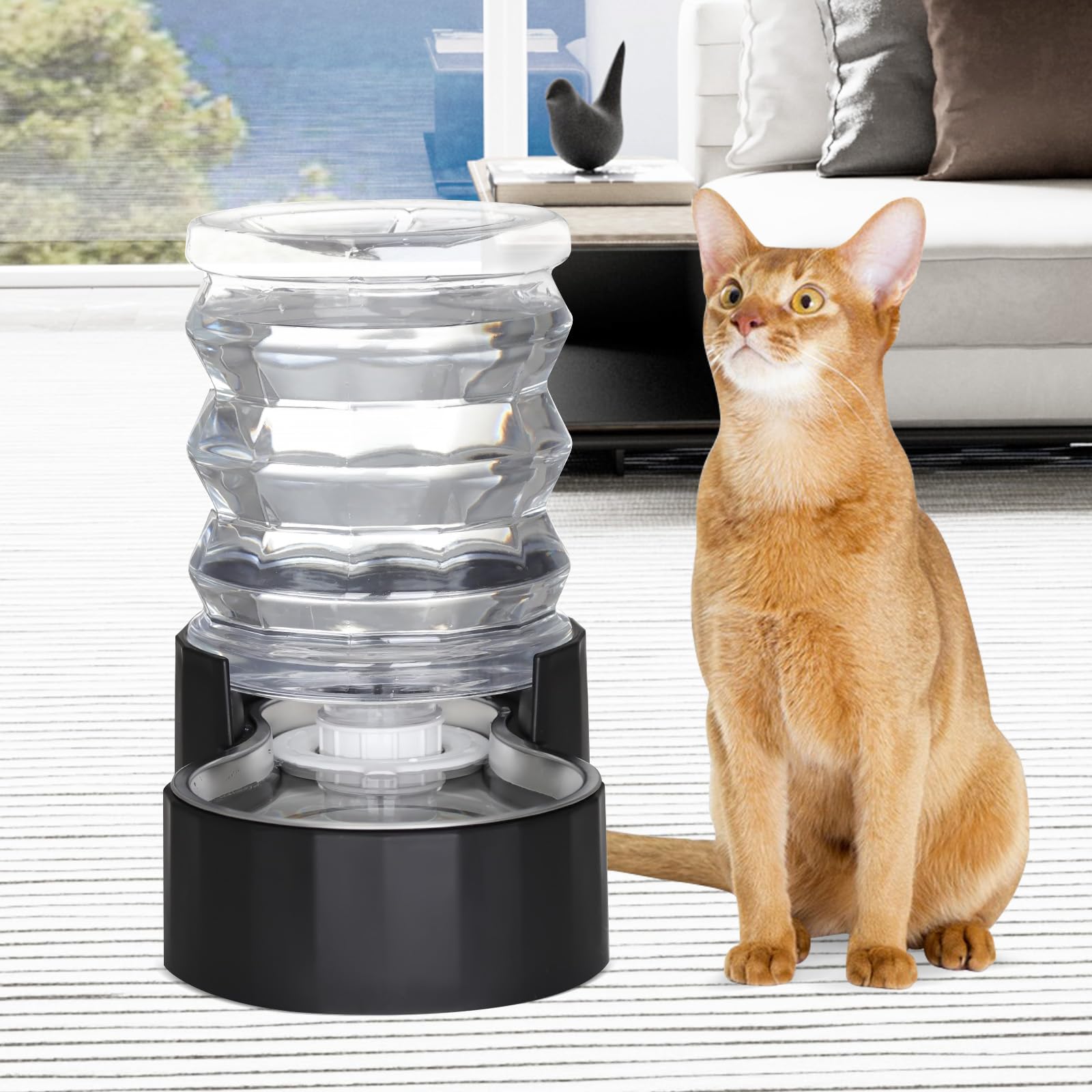 RIZZARI Dog Water Bowl Dispenser: 5L Gravity Black Automatic Stainless Steel Drinking Feeder with Filter for Dogs and Cats