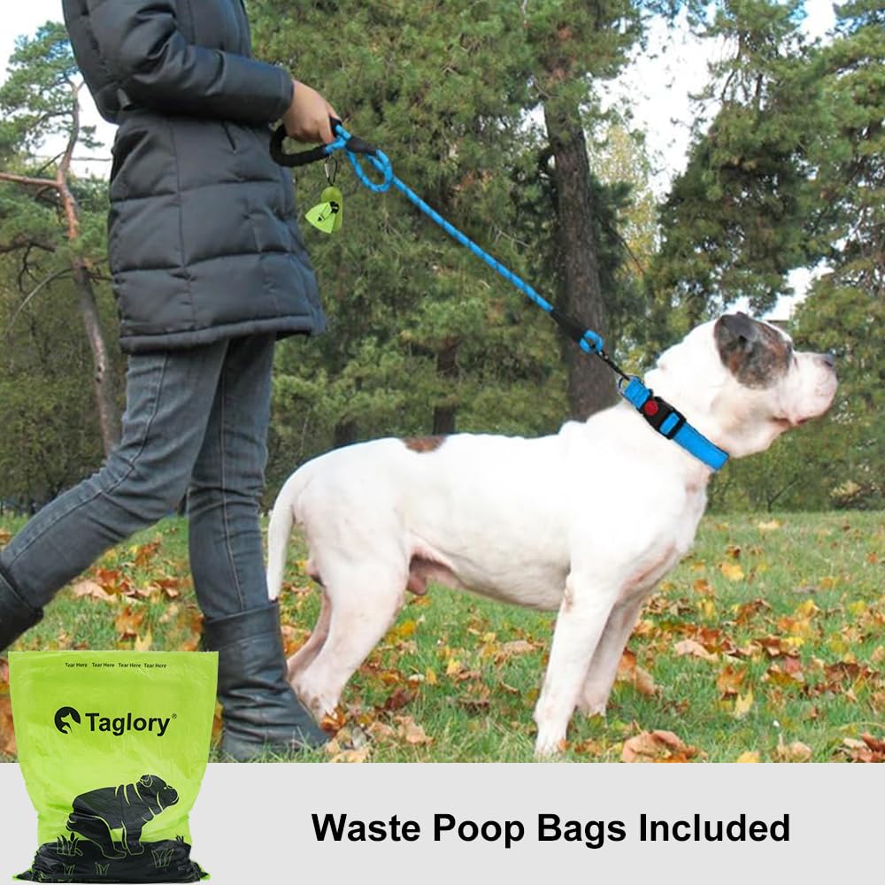 Taglory Rope Dog Leash 5 Ft With Comfortable Padded Handle, Highly Reflective Threads Leash For Medium Large Dogs, 1/2 Inch, Blu