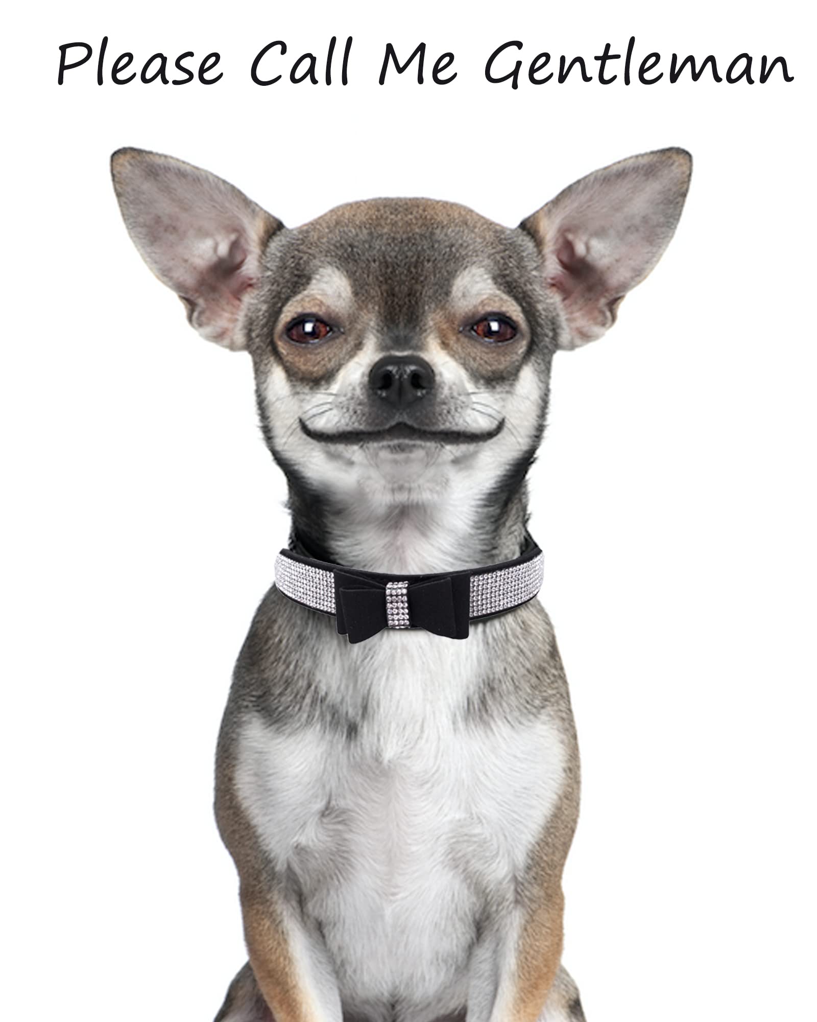 Rhinestone Dog Collar For Small Medium Large Dogs, Adjustable Leather Suede Bling Dog Collars,Diamond Bow Tie Puppy Collars For