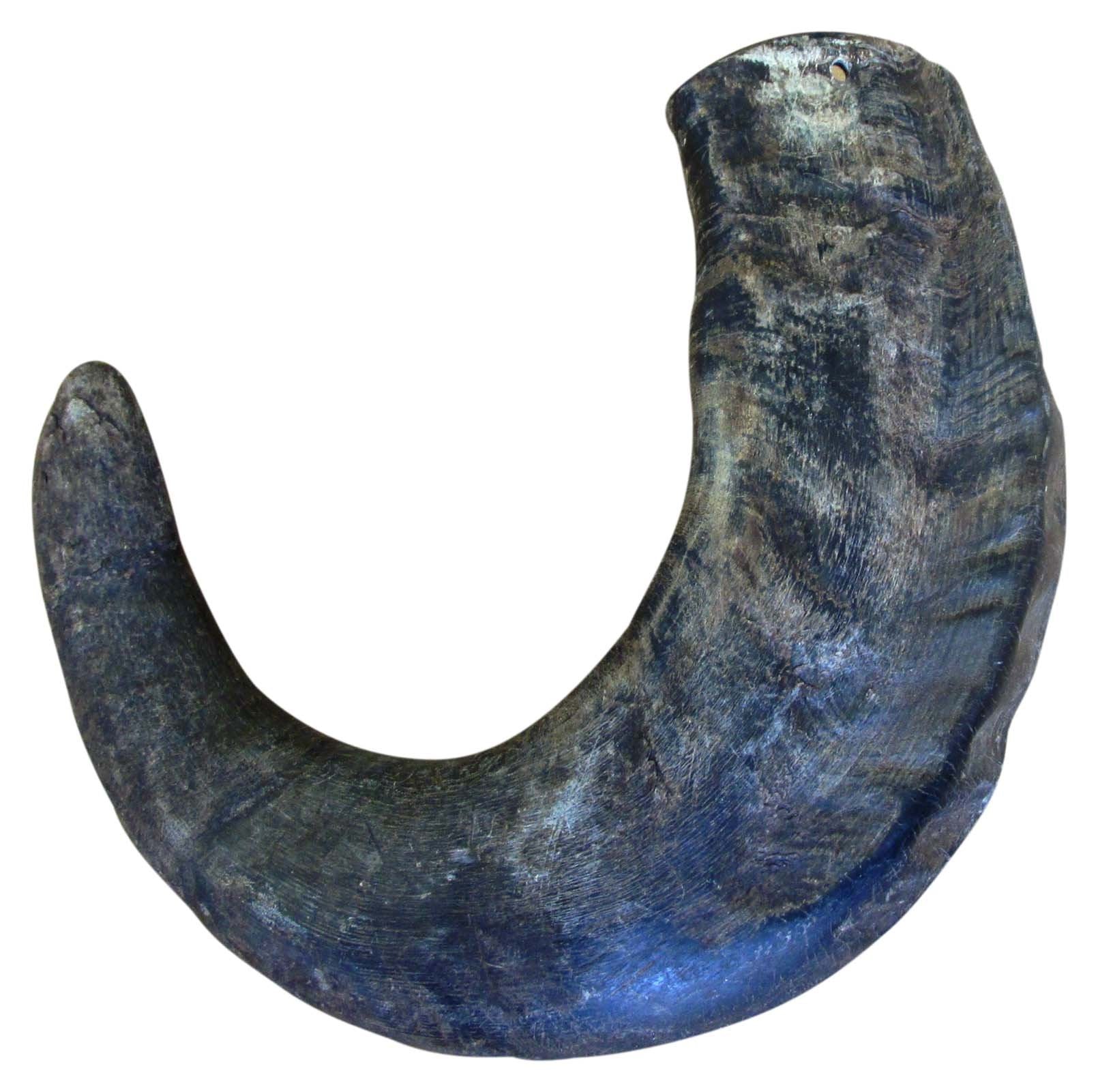 QT Dog  Buffalo Horn Large
