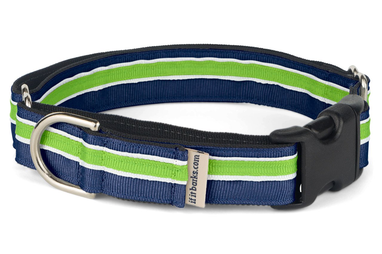 If It Barks 1'' Martingale Collar With Quick Snap Release Buckle, Adjustable, Usa Made, Large, Finley