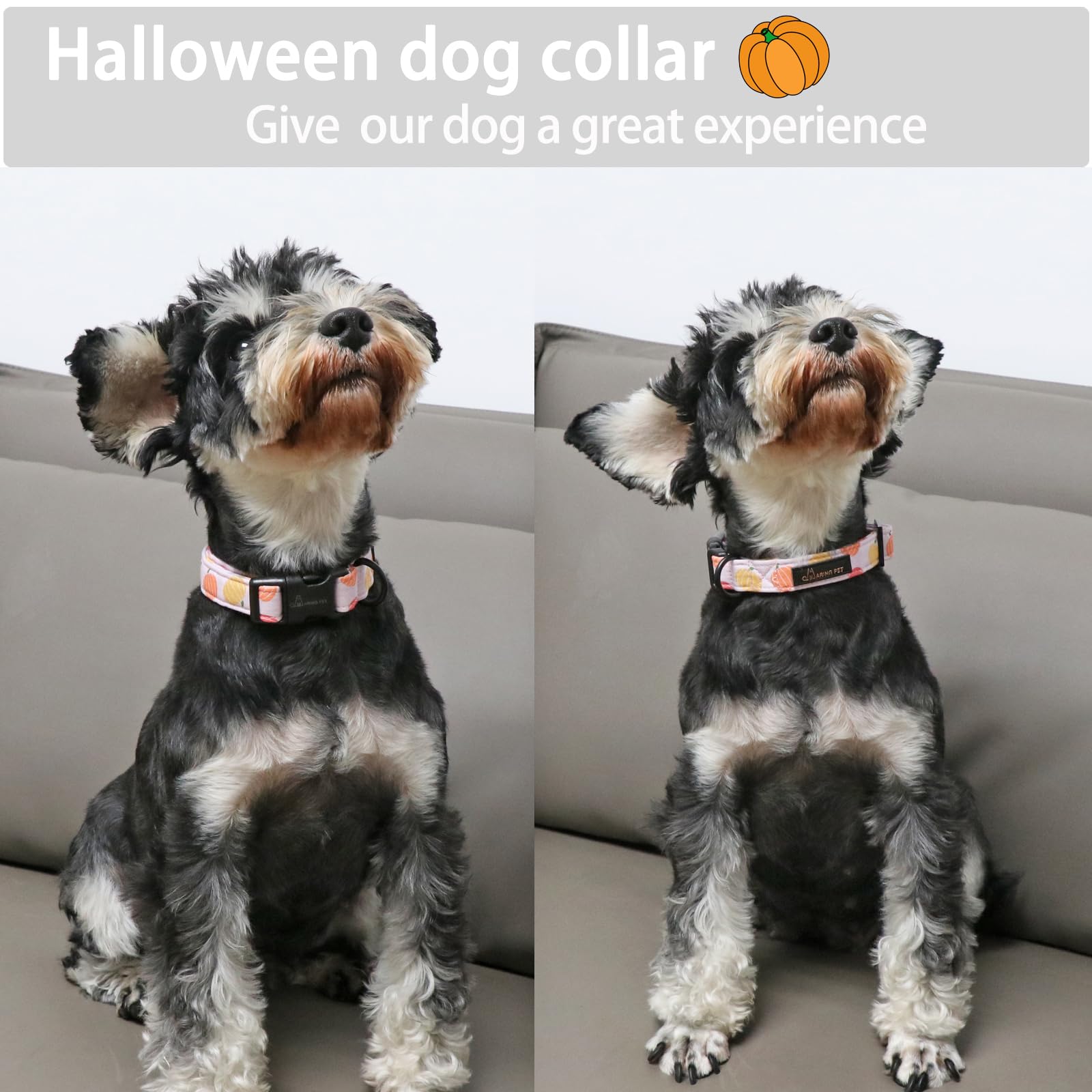Aring Pet Halloween Dog Collar-Cute Pumpkin Dog Collar For Small Dogs, Cotton Pink Girl Dog Collars With Quick Release Buckle Fo