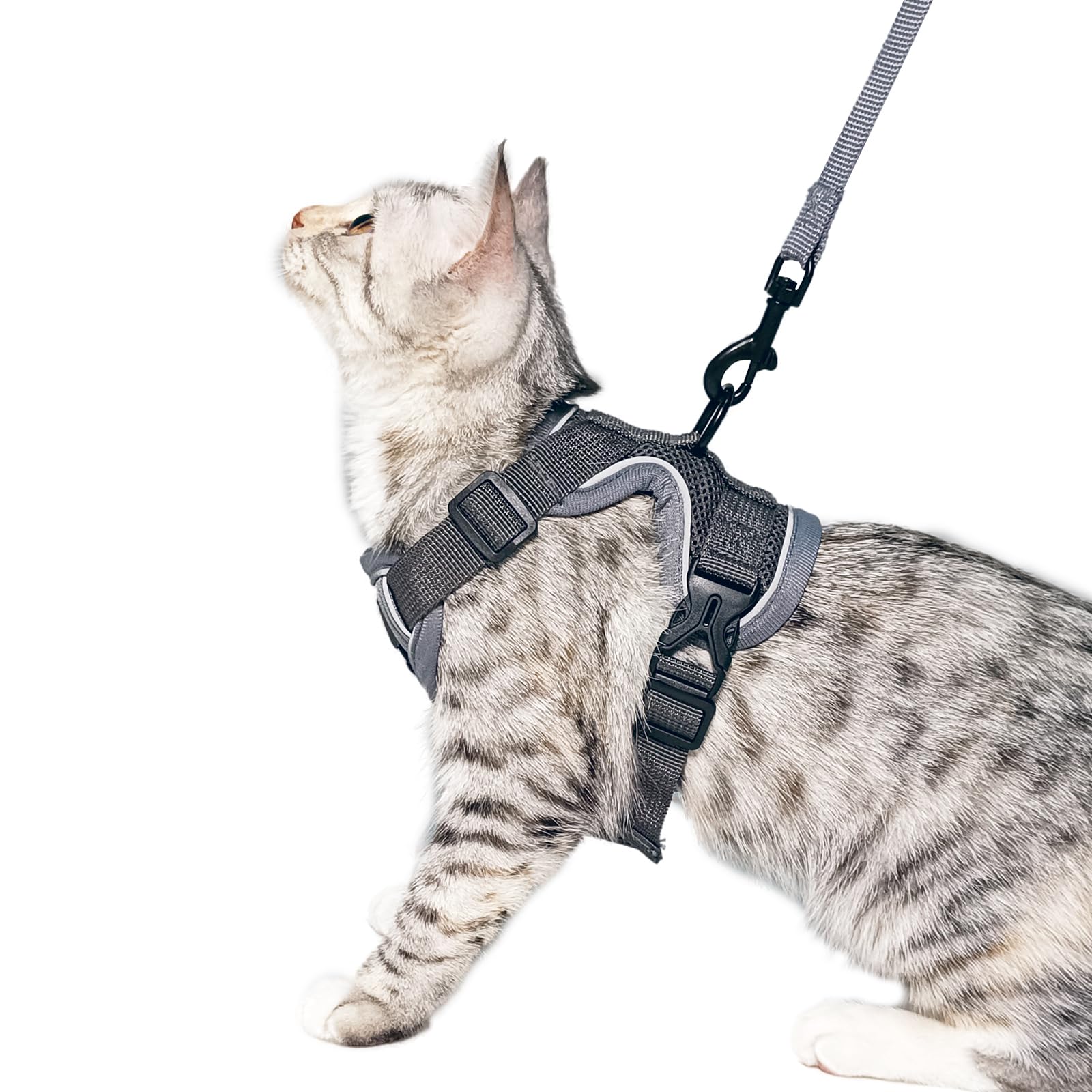 pangdi Cat Harness and Leash Set Escape Proof Tactical Large Kitten Harness Emotional Support Cat Vest, Grey, L