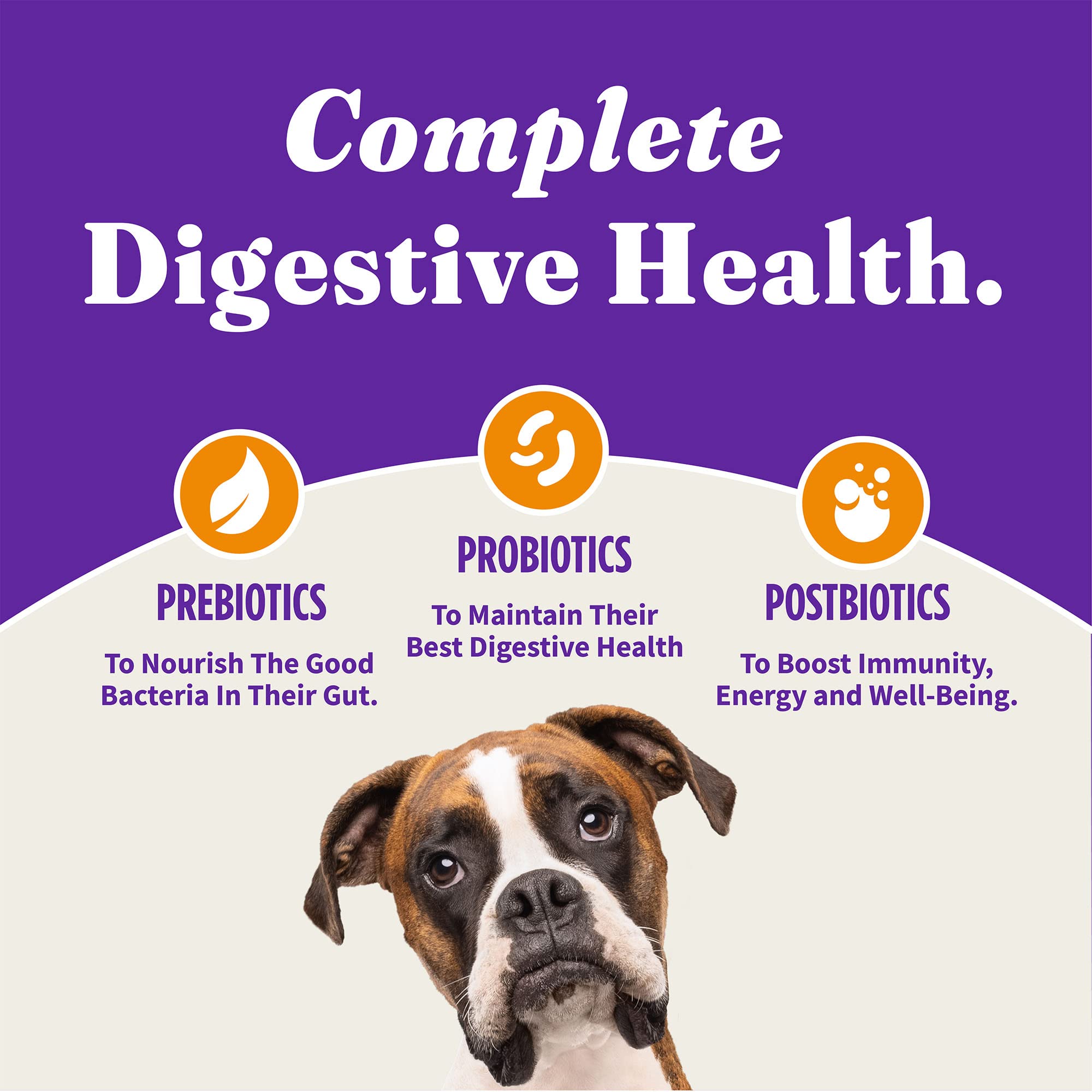 Halo Holistic Dog Food Cage Free Chicken & Sweet Potato Formula, Grain Free Dry Dog Food, Complete Digestive Health, Kibble for