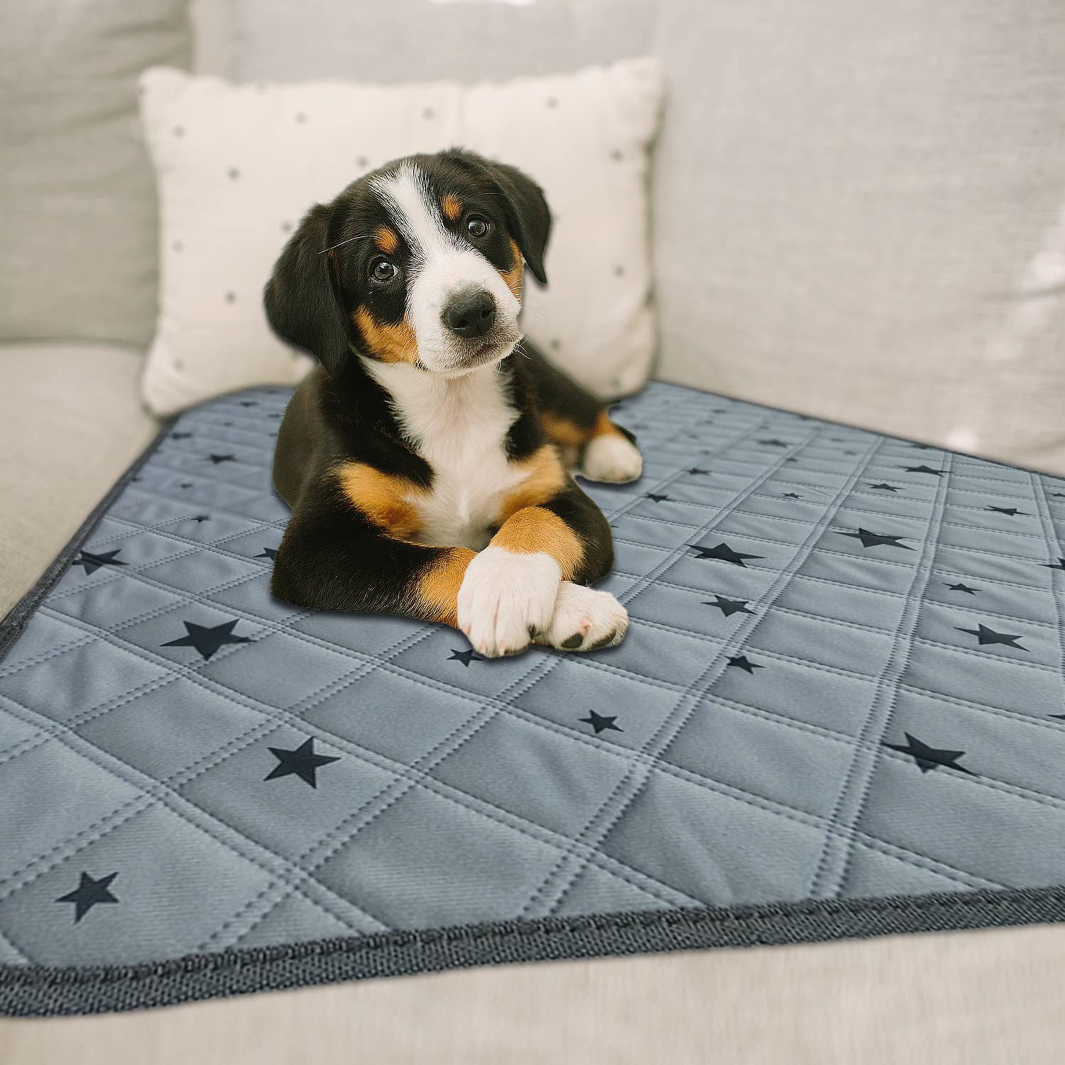 Rioussi Washable Pee Pads For Dogs, Reusable, Absorbent, Leakproof, Non Slip Pet Puppy Pads For Potty Training. Gray Stars, 20X28 Inch(4Pack)