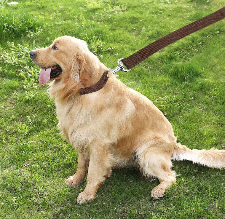 Taian 4Ft/5Ft/6Ft Strong Dog Leash, Nylon Dog Leashes For Small Medium Large Dogs (5/8 In X 5 Ft, Brown)
