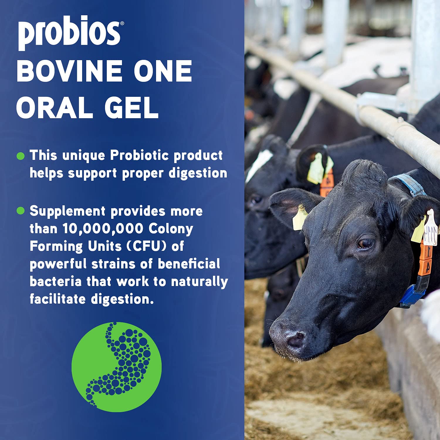Probios Bovine One Oral Gel for Ruminants, 60cc Tube, Red, Model CHR-101