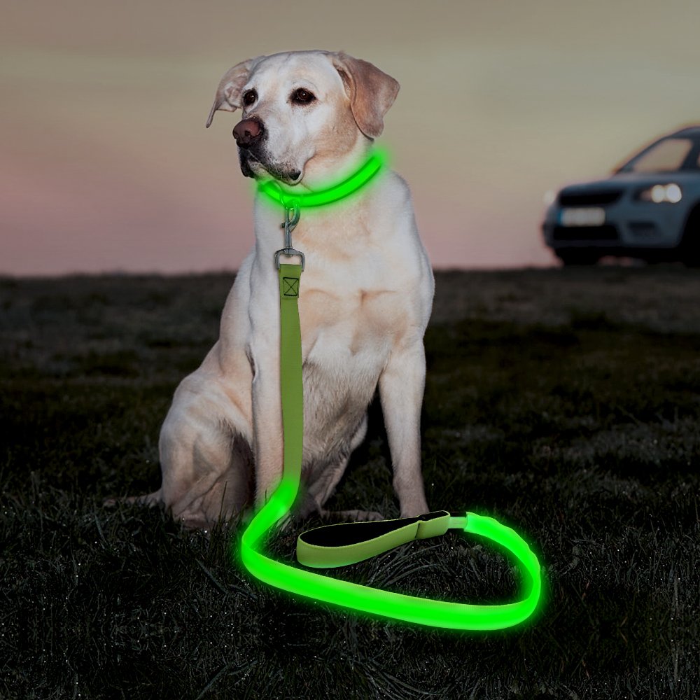 Illumifun Led Dog Leash, Usb Rechargeable Pet Leash Glow In The Dark, 47.2Inch Nylon Light Dog Leash For Your Dog Walking At Night (Green ?)