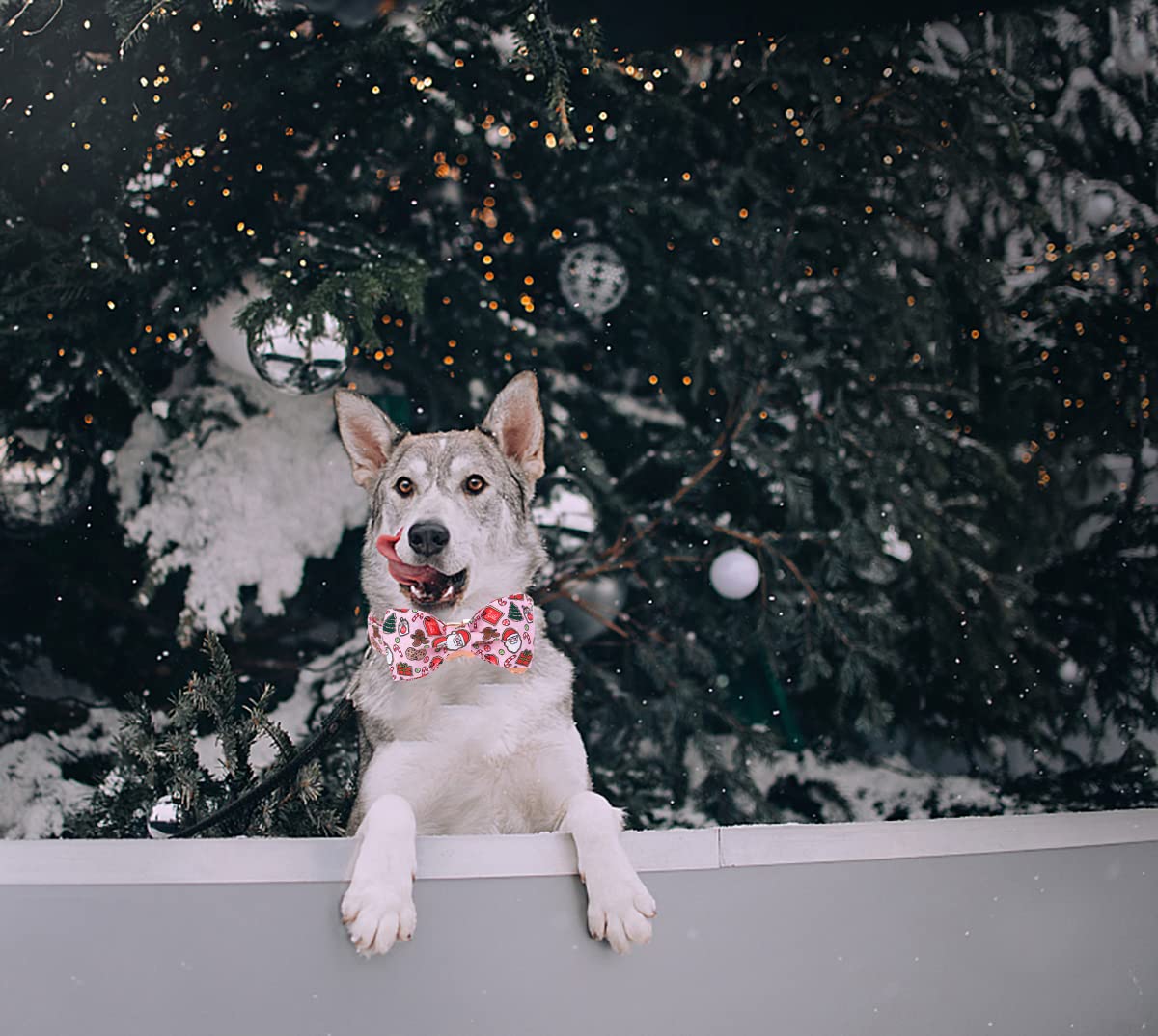 Dogwong Christmas Dog Collar With Sailor Bow, Pink Santa Claus Dog Collar Soft Durable Adjustable Cotton Cute Girl Puppy Collar
