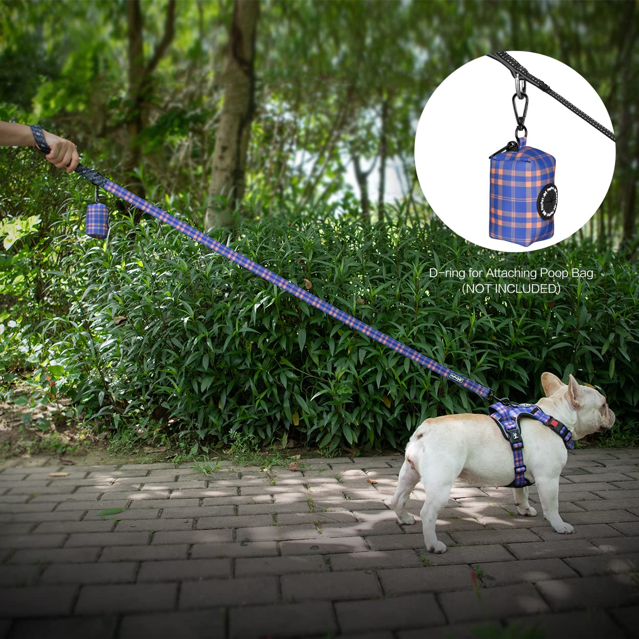 Poypet 5 Feet Dog Leash With Padded Handle For Small Medium And Large Dogs (Checkered Blue & Orange)
