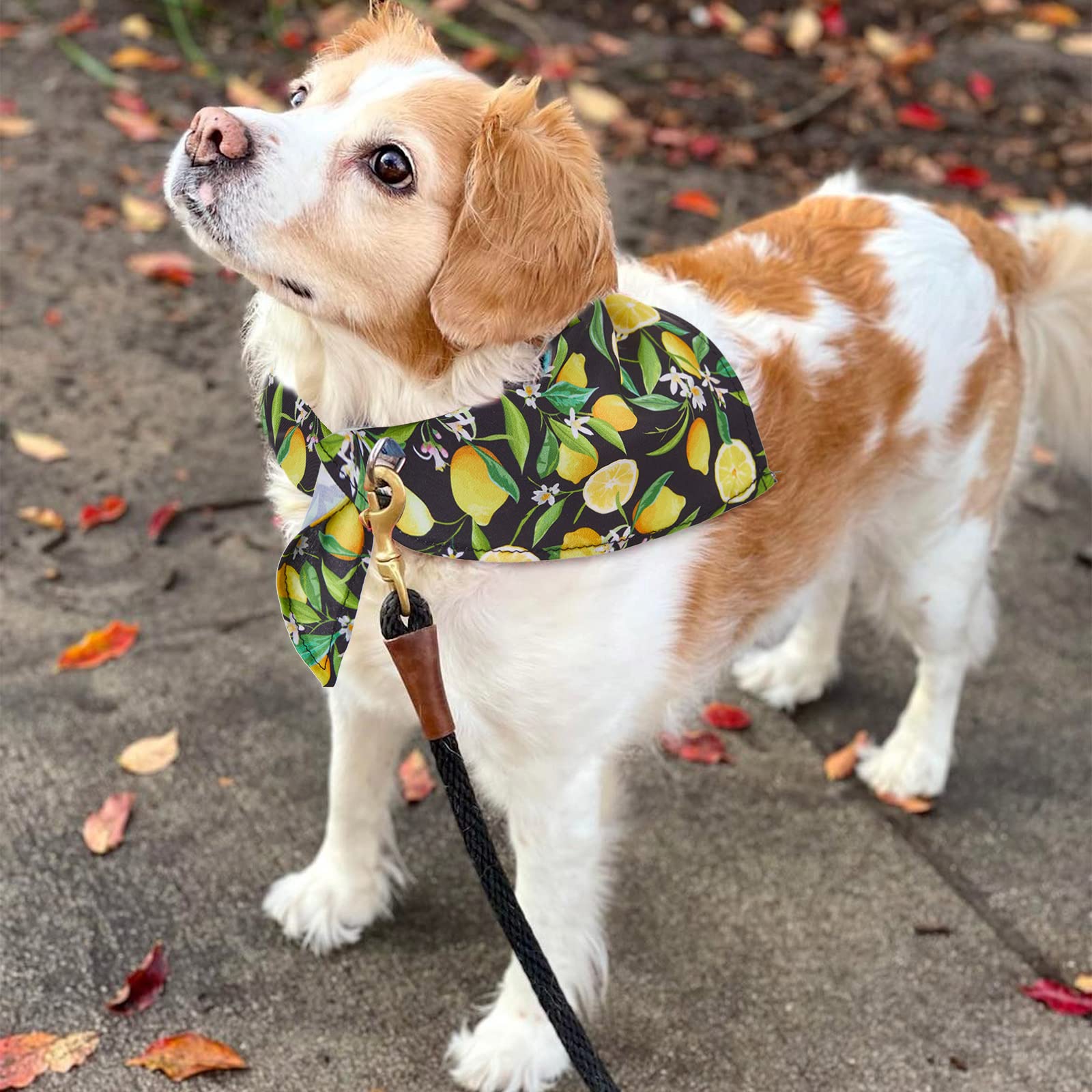 72 Packs Dog Bandanas Bulk Buffalo Plaid Cat Bandana Summer Scarf Triangle Fruit Drool Bibs Washable Adjustable Kerchief Dog Cat