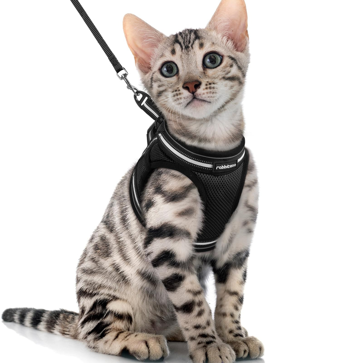 Rabbitgoo Cat Harness And Leash Set For Walking Escape Proof, Adjustable Soft Kittens Vest With Reflective Strip For Cats, Comfortable Outdoor Vest, Black, Xl