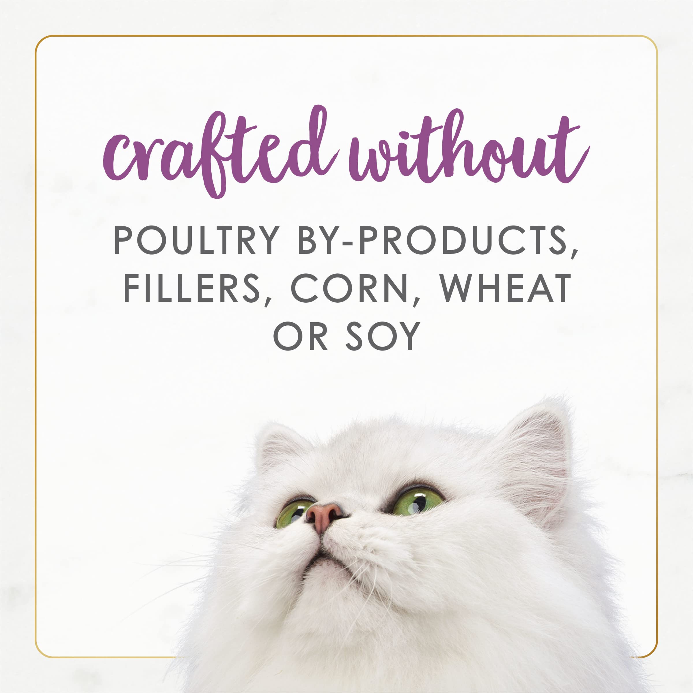 Purina Fancy Feast Pate Wet Cat Food Gourmet Naturals Beef Recipe With Added Vitamins, Minerals and Nutrients - (Pack of 12) 3 o