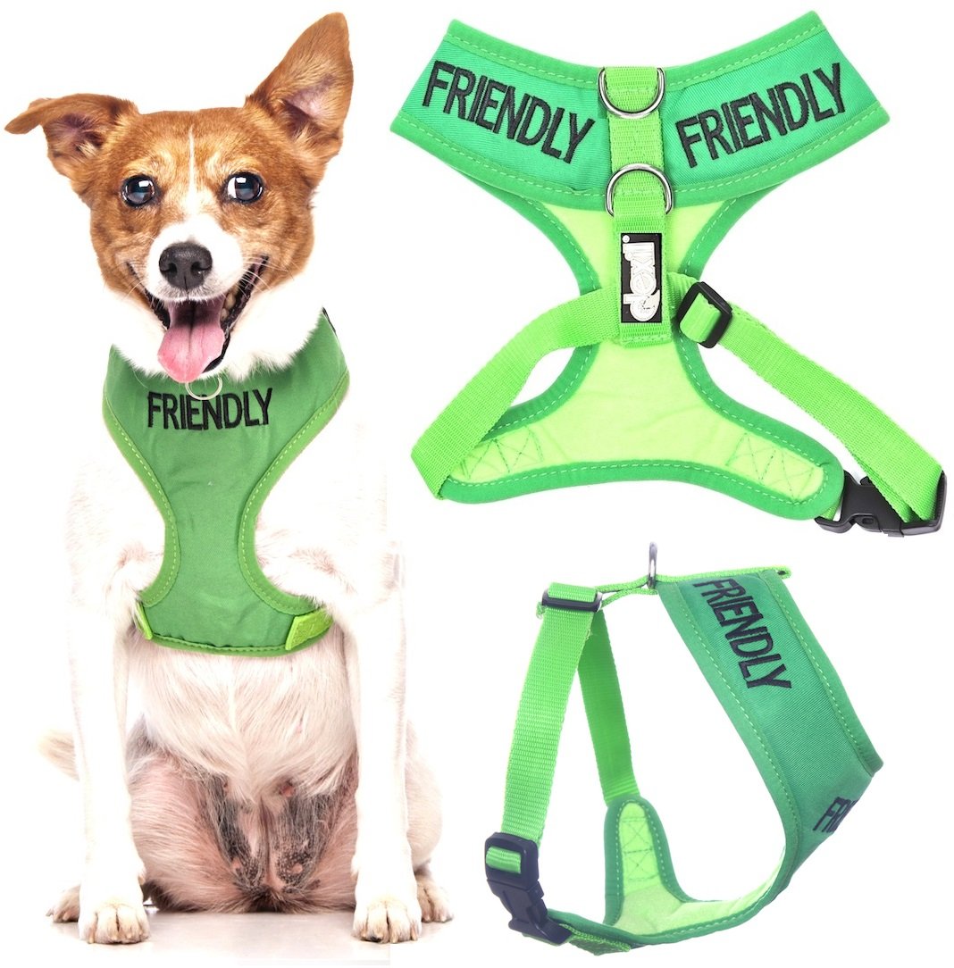 Friendly (Known as Friendly to All) Green Colour Coded Non-Pull Front and Back D Ring Padded and Waterproof Vest Dog Harness Pre