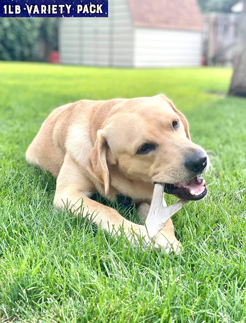 Natural Dakota Premium Deer Antler Dog Chew Toys (1 Lb Splits, Points, & Tines)