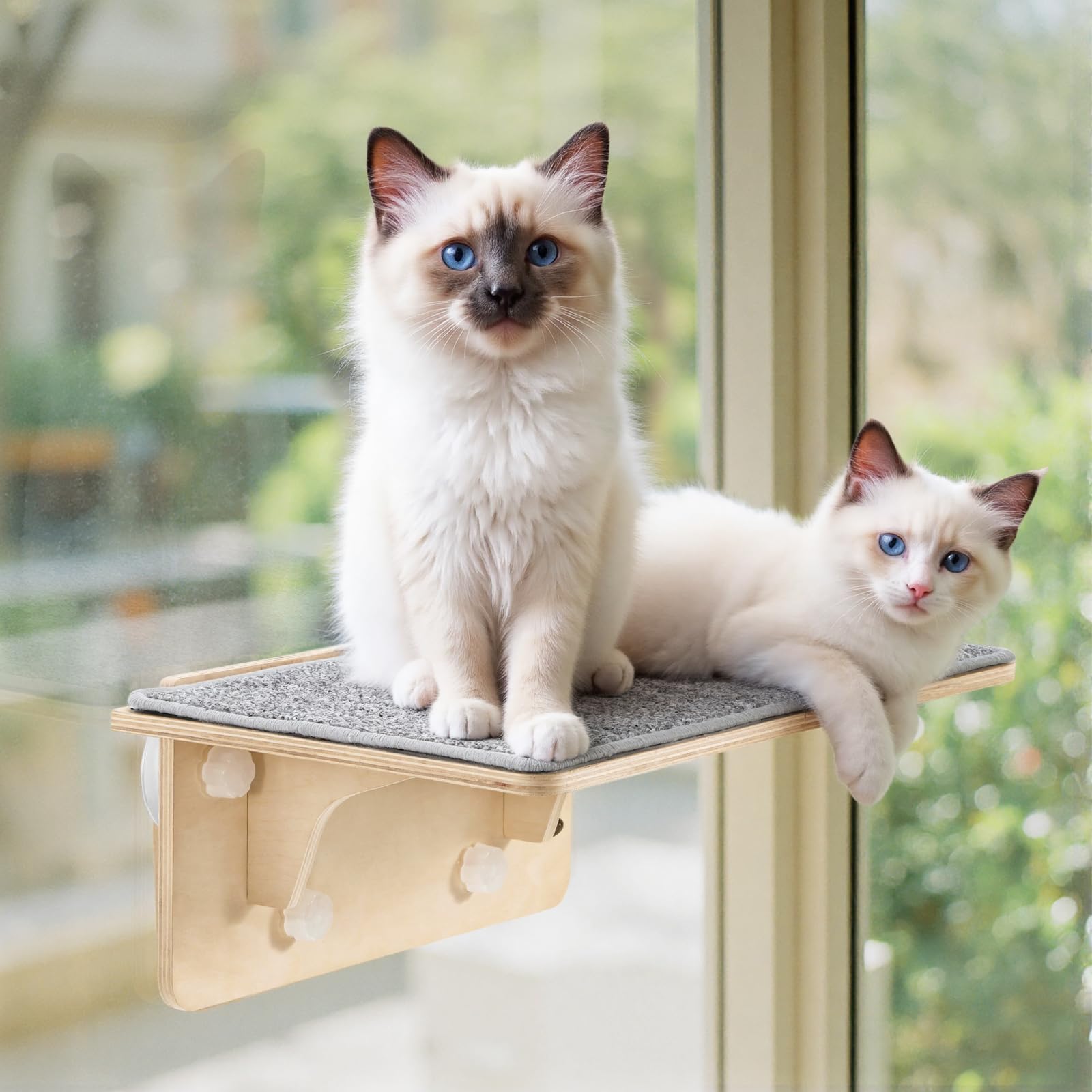 Pecute 2-in-1 Large Cat Window Perch & Wall Shelves, Cat Hammock Window with Solid Wood, Strong Suction Cup, Washable Cover Mat,