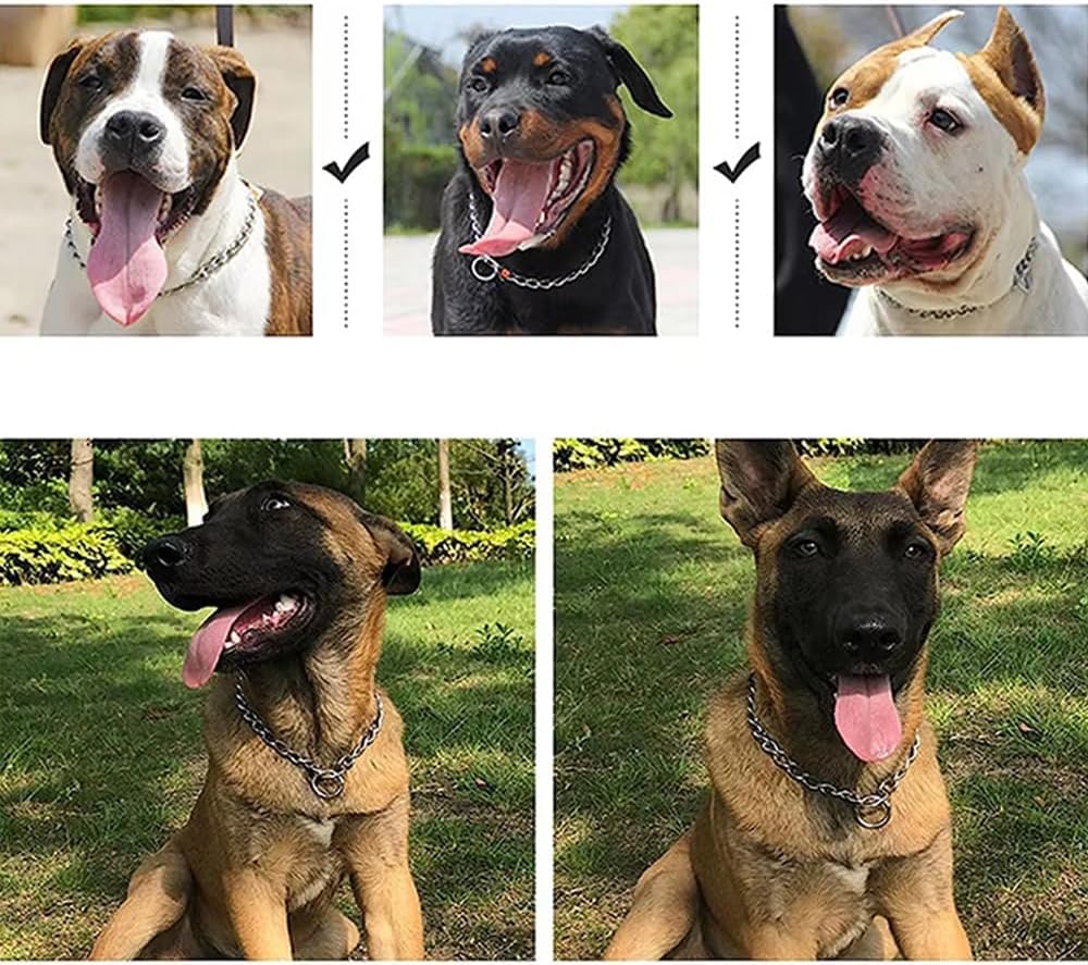Chain Choker Collar For Dogs, Metal Slip Link Training Heavy Duty Dog Choke Collar Martingale Puppy Collars For Small Medium Lar