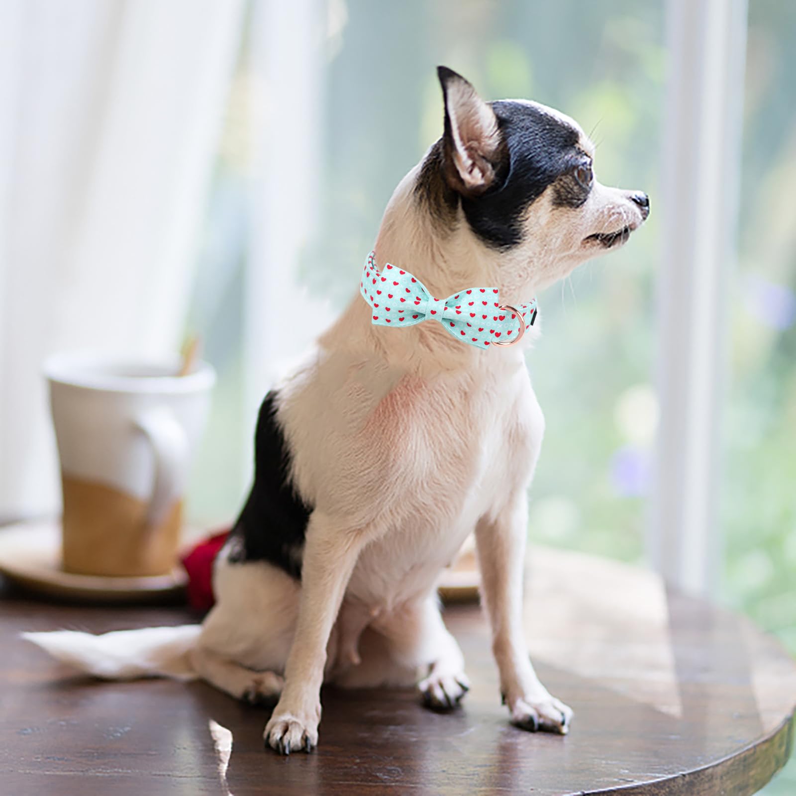 M MACA BATES Maca Bates Valentines Dog Collar with Bow Comfortable Soft Heart Dog Collar with Metal Buckle Adjustable Puppy Coll