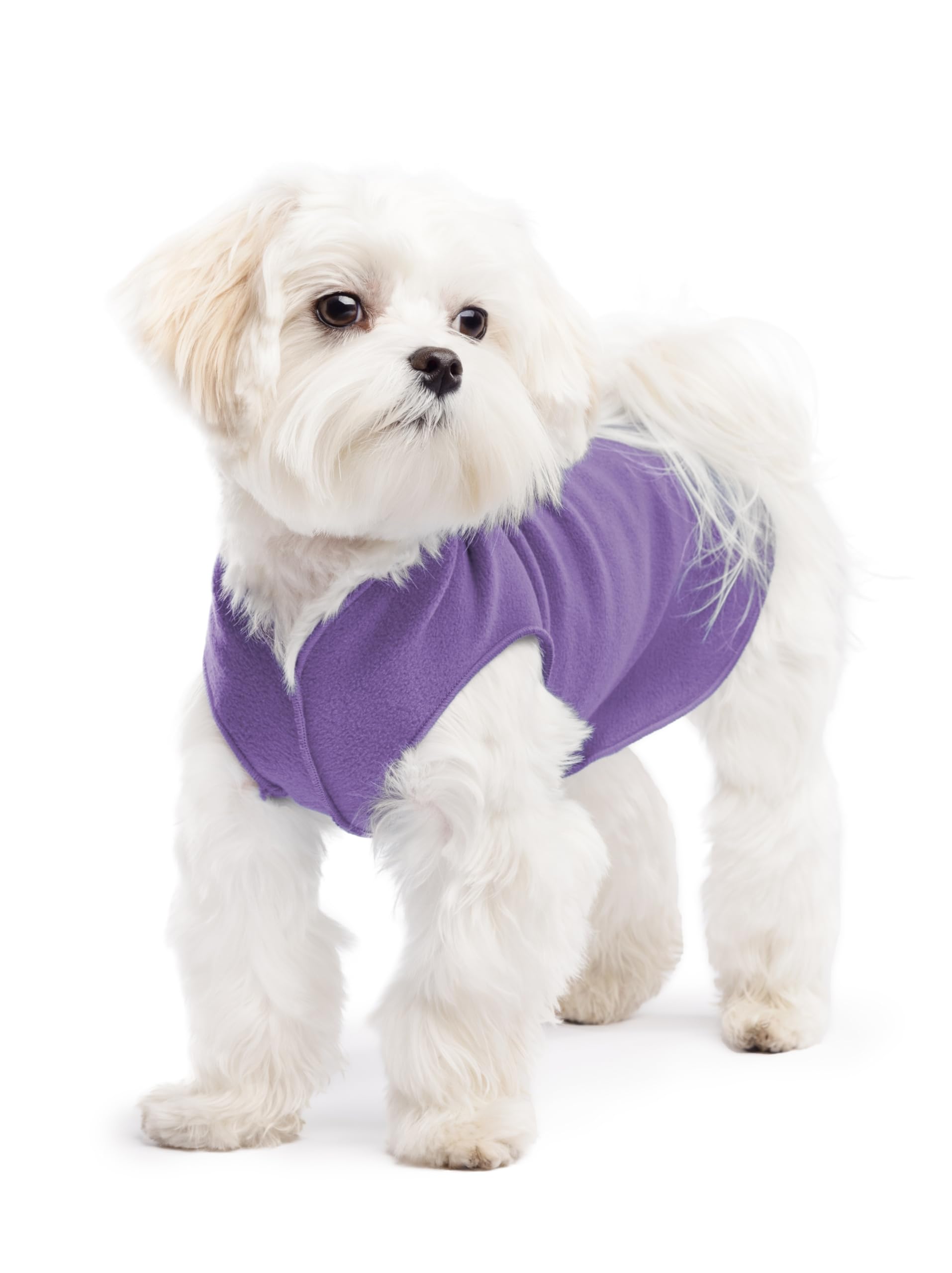 Gold Paw Stretch Fleece Dog Coat, Stretchy Pet Sweater, Machine Washable Pullover For Winter And Fall, Lavender, 8