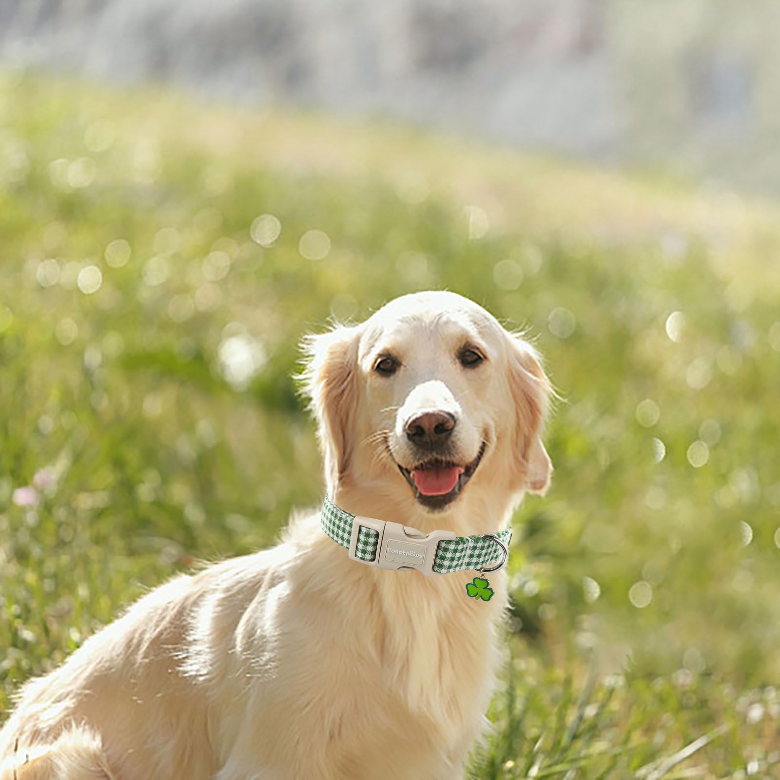 Lionet Paws St. Patrick Dog Collar, Comfortable Adjustable Green Collar With Green And White Grid Pattern For Medium Male Female