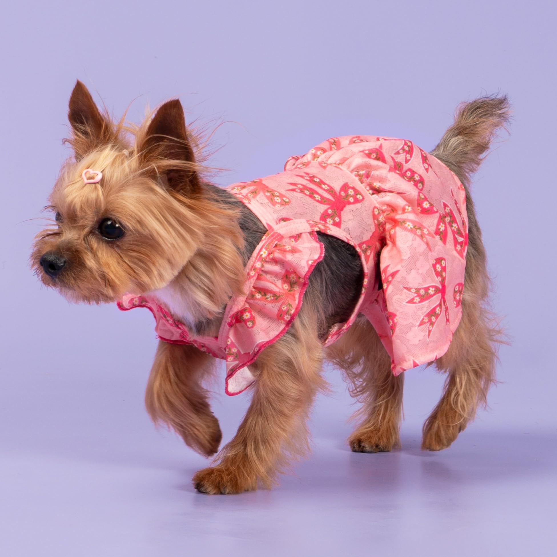 Fitwarm Ruffle Sleeves Bowknot Dog Dress, Birthday Clothes For Small Dogs Girl, Pet Outfit, Pink, Xxs