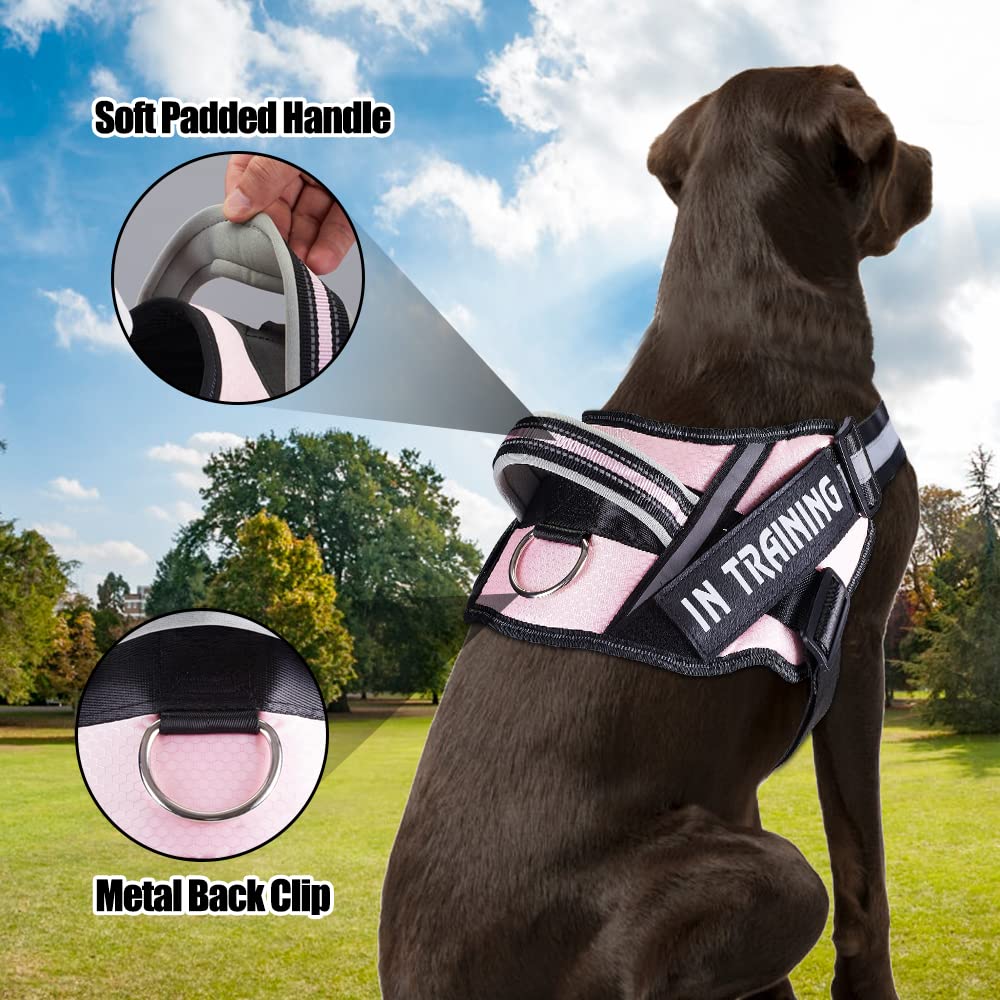 Service Dog Vest Harness And Leash Set, Animire In Training Dog Harness With 8 Dog Patches, Reflective Dog Leash With Soft Padded Handle For Small, Medium, Large, And Extra-Large Dogs