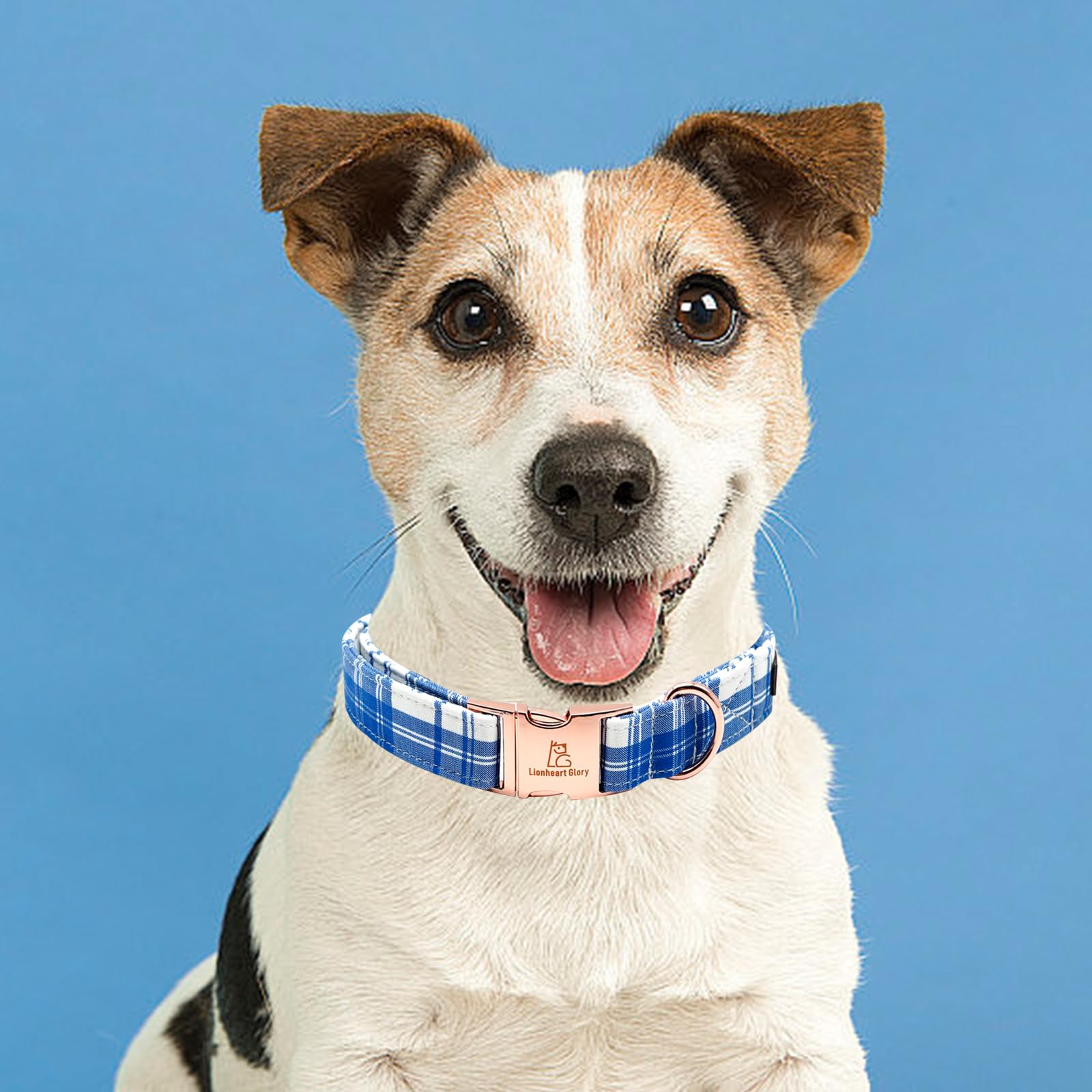 Lionheart Glory Dog Collar, Boy Dog Collars Blue Plaid Adjustable Dog Collar Cute Pet Gift Dog Collar For X-Small Summer Collar