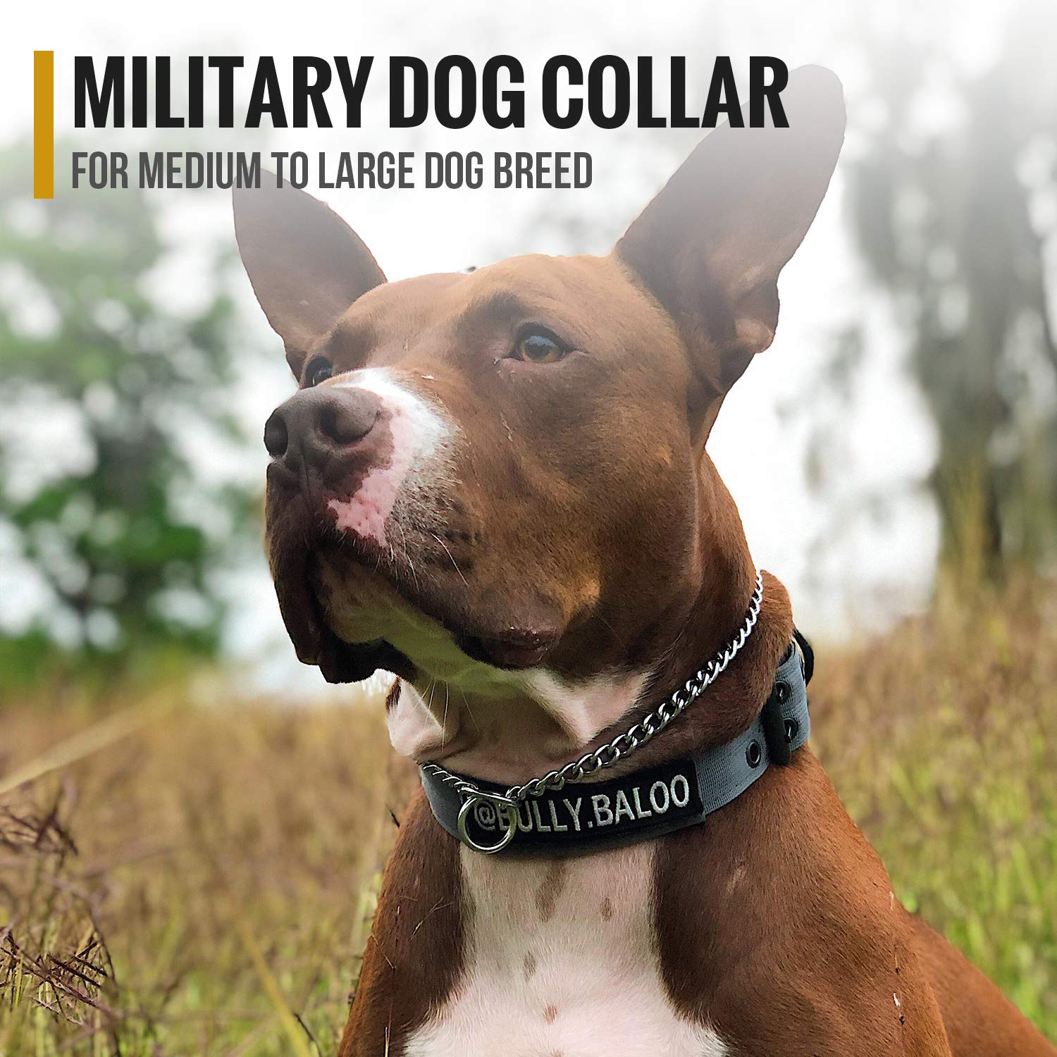 Onetigris Military Adjustable Dog Collar With Metal D Ring & Buckle 2 Sizes (Coyote Brown, M)